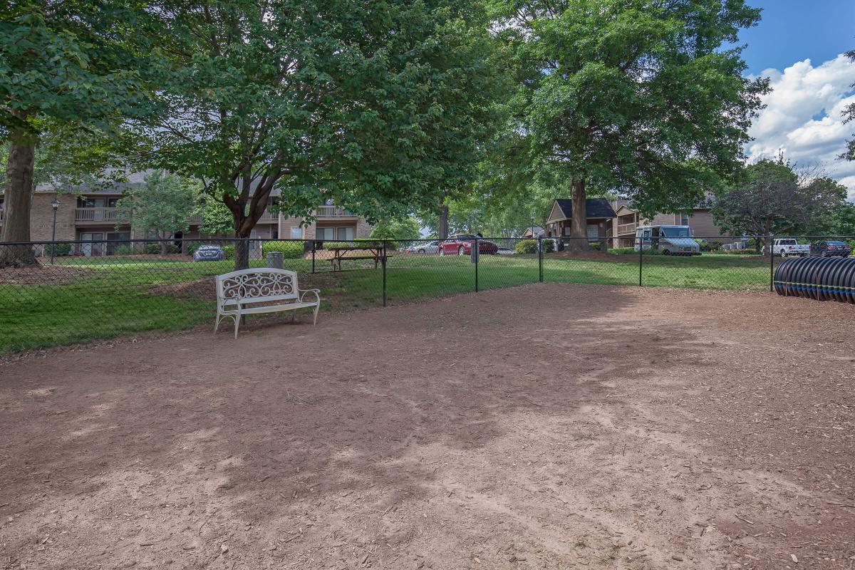 Bring your furry friend down to the bark park at Haywood Pointe in Greenville, South Carolina.