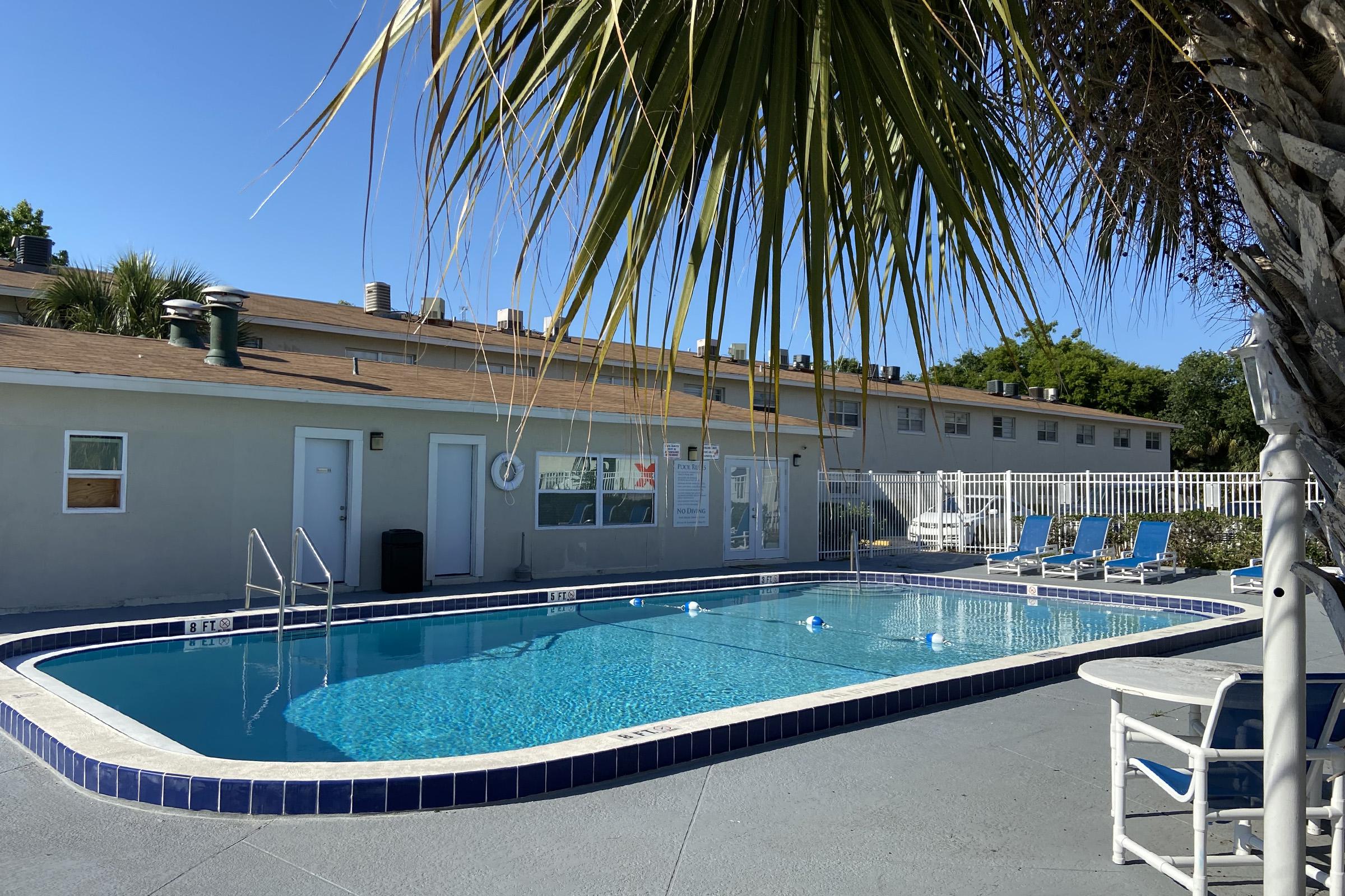 a pool next to a palm tree