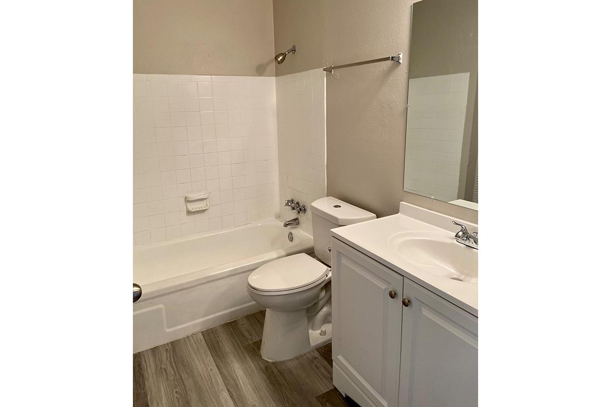 a shower and a sink