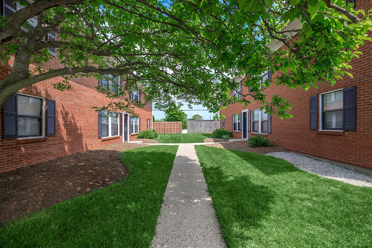 a tree in front of a brick building