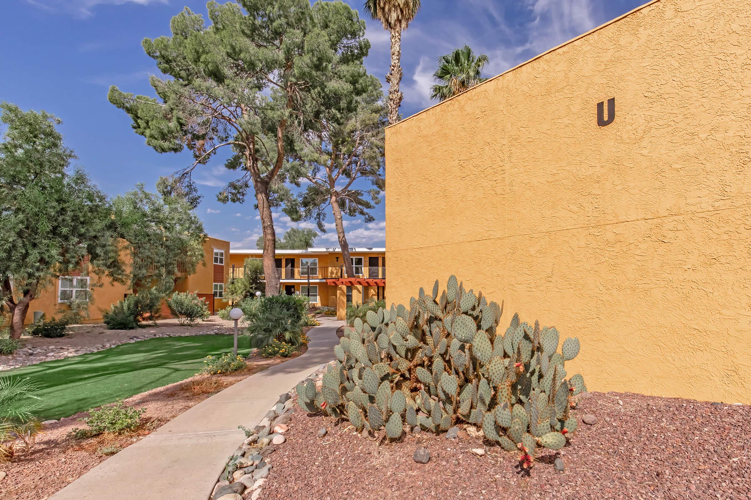 A walkway leads through a landscaped area featuring cacti and decorative stones, with yellow building exteriors in the background. Tall trees and blue skies add to the serene atmosphere of the outdoor setting. The scene conveys a welcoming environment with greenery and modern architecture.