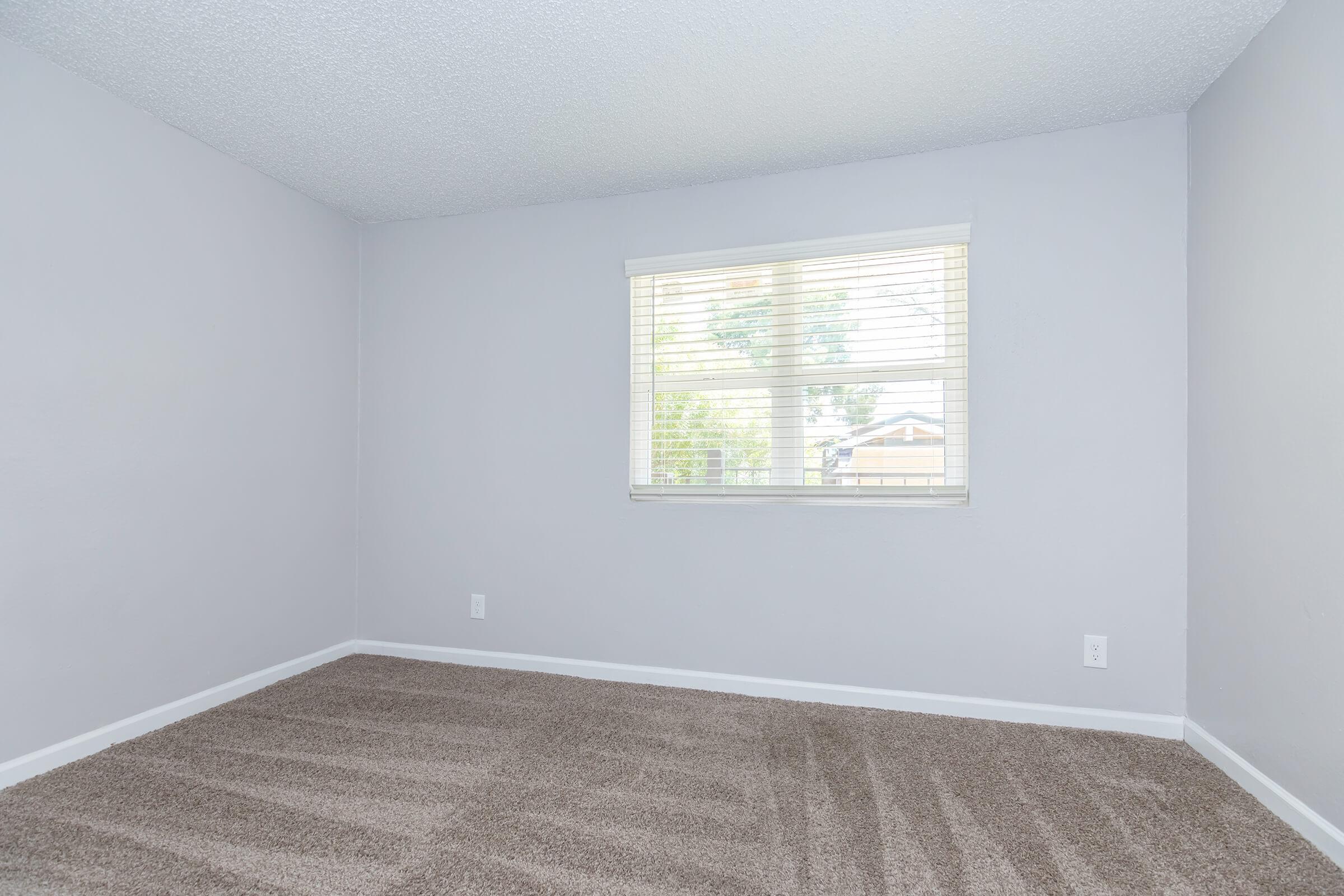 Empty room featuring light gray walls and soft carpet. A window with white blinds allows natural light to enter, casting soft shadows on the floor. The room appears spacious and uncluttered, ideal for various design possibilities.