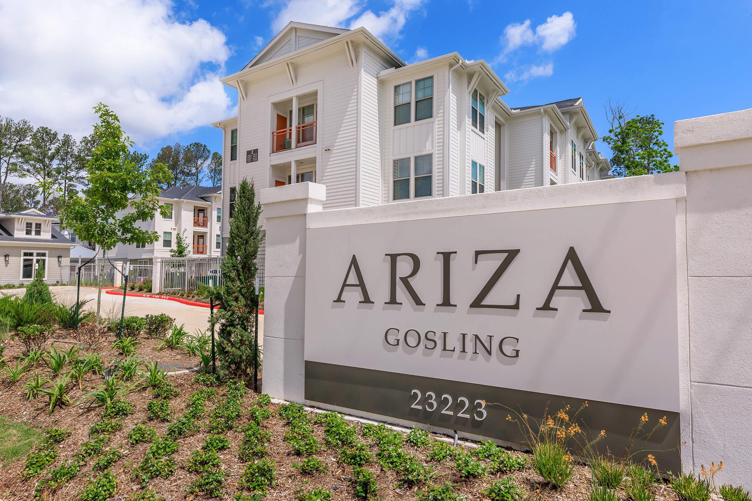 Welcome home to Ariza Gosling in Spring, Texas