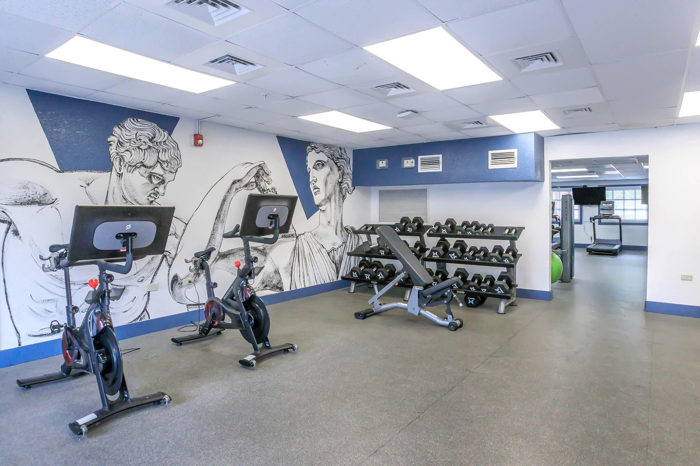A modern gym featuring several stationary bikes, a weight bench, and a set of free weights. The walls are decorated with large artistic murals of classical statues, creating an inspiring workout environment. The space is well-lit and designed for fitness activities.