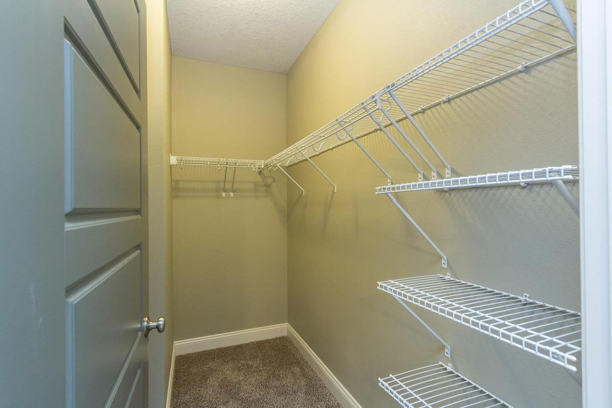 LARGE WALK-IN CLOSET AT THE SUMMIT AT SUNNYBROOK VILLAGE