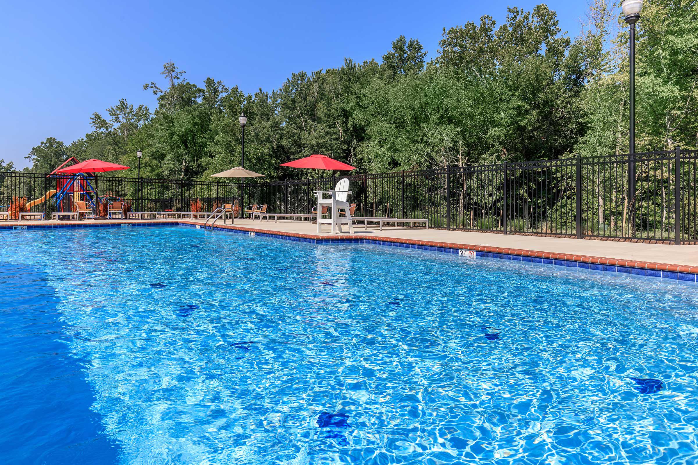 a group of people swimming in a pool of water