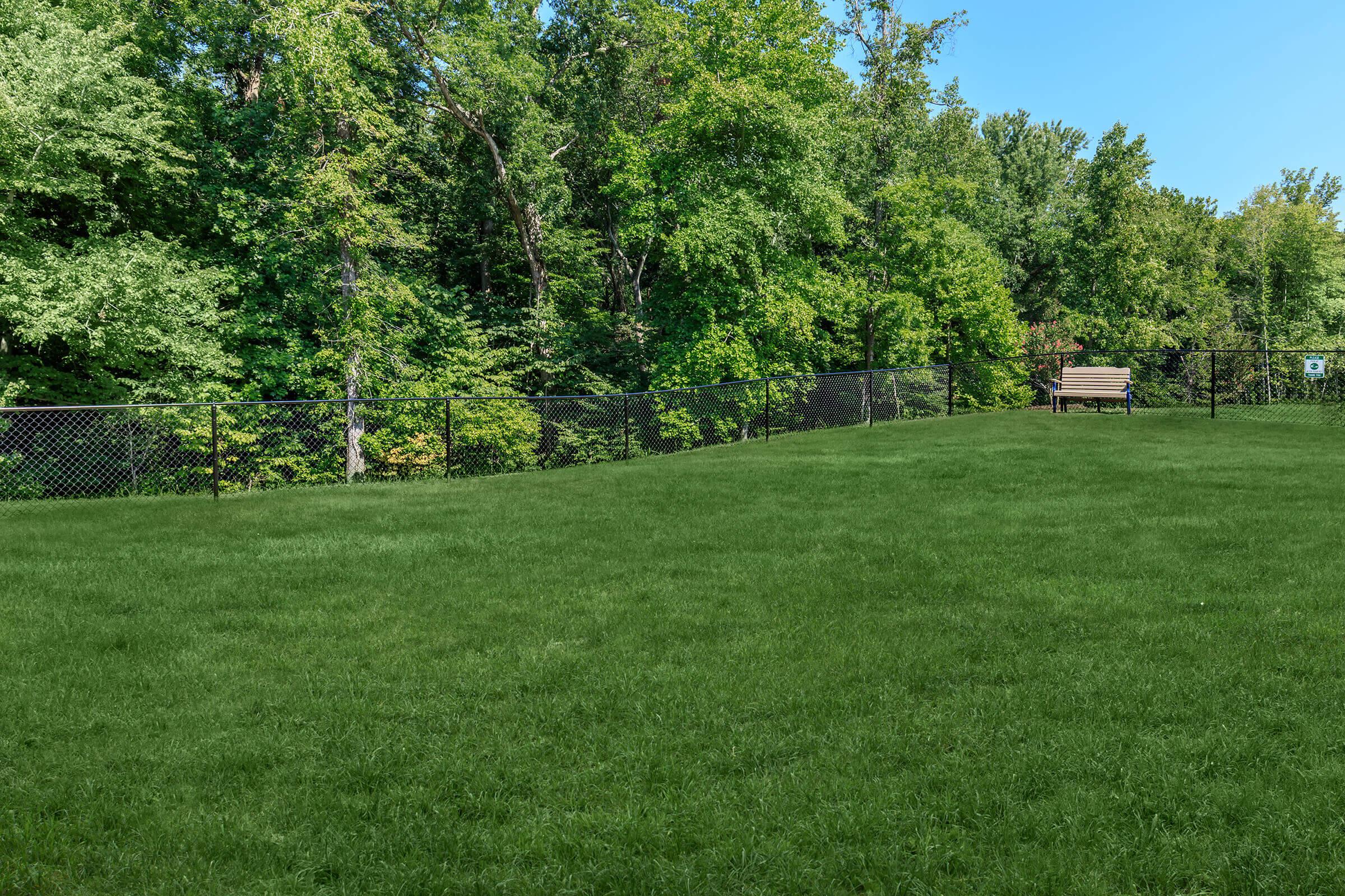 a large green field with trees in the background