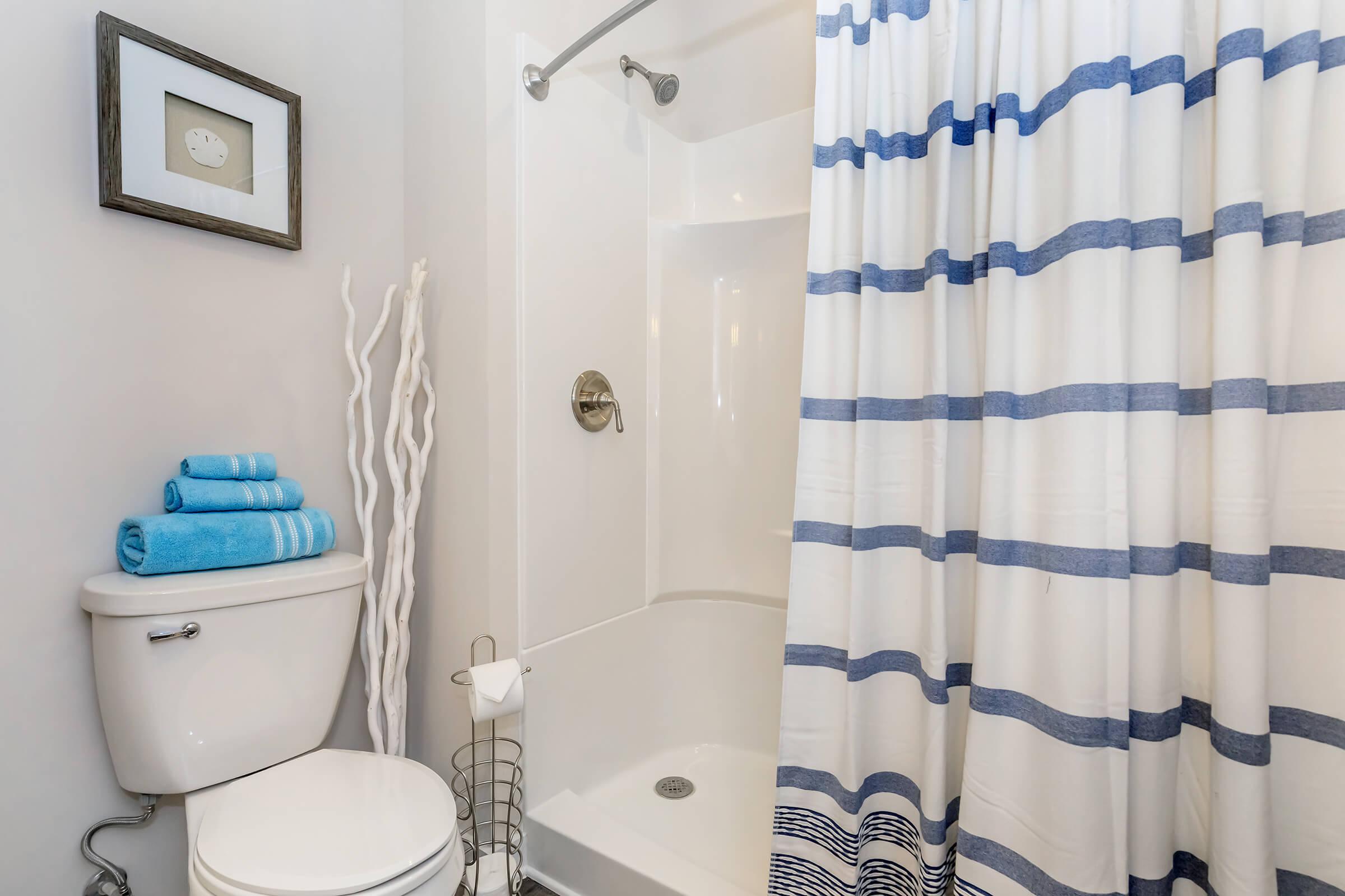 a blue and white shower curtain