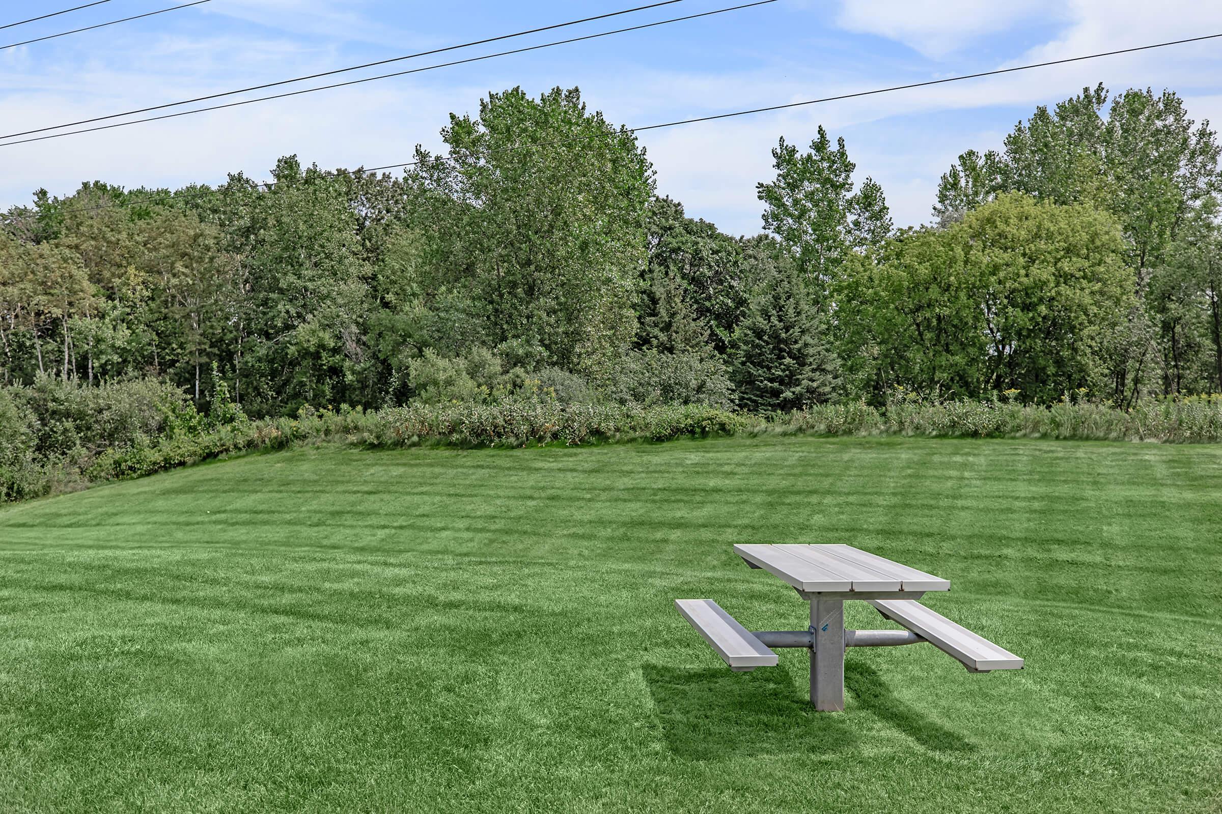 a couple of lawn chairs sitting on top of a lush green field