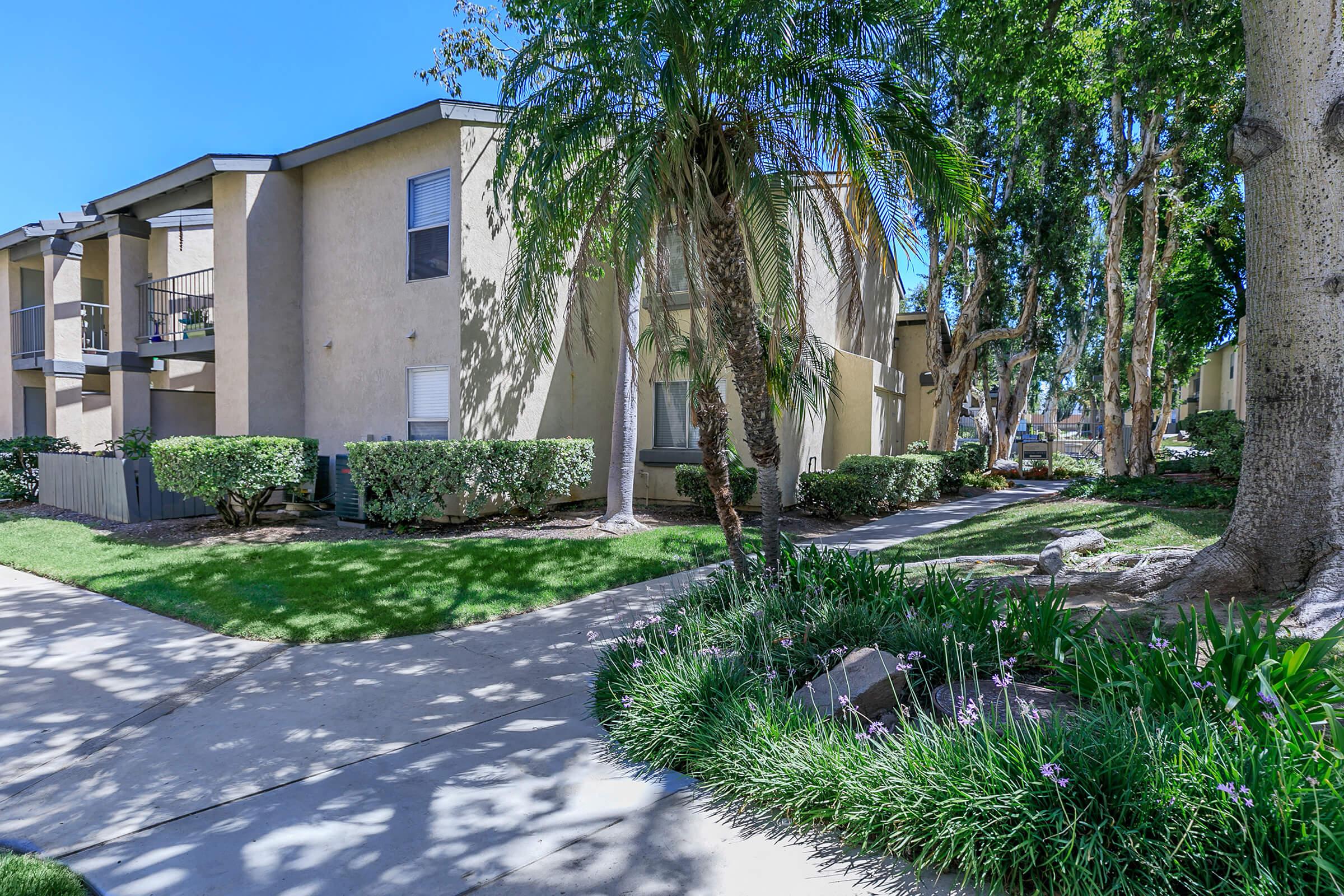 A well-maintained pathway leads through a lush, green landscape with bushes and palm trees, flanked by two multi-story apartment buildings. The sunny day highlights the vibrant foliage, creating a welcoming atmosphere for residents and visitors.