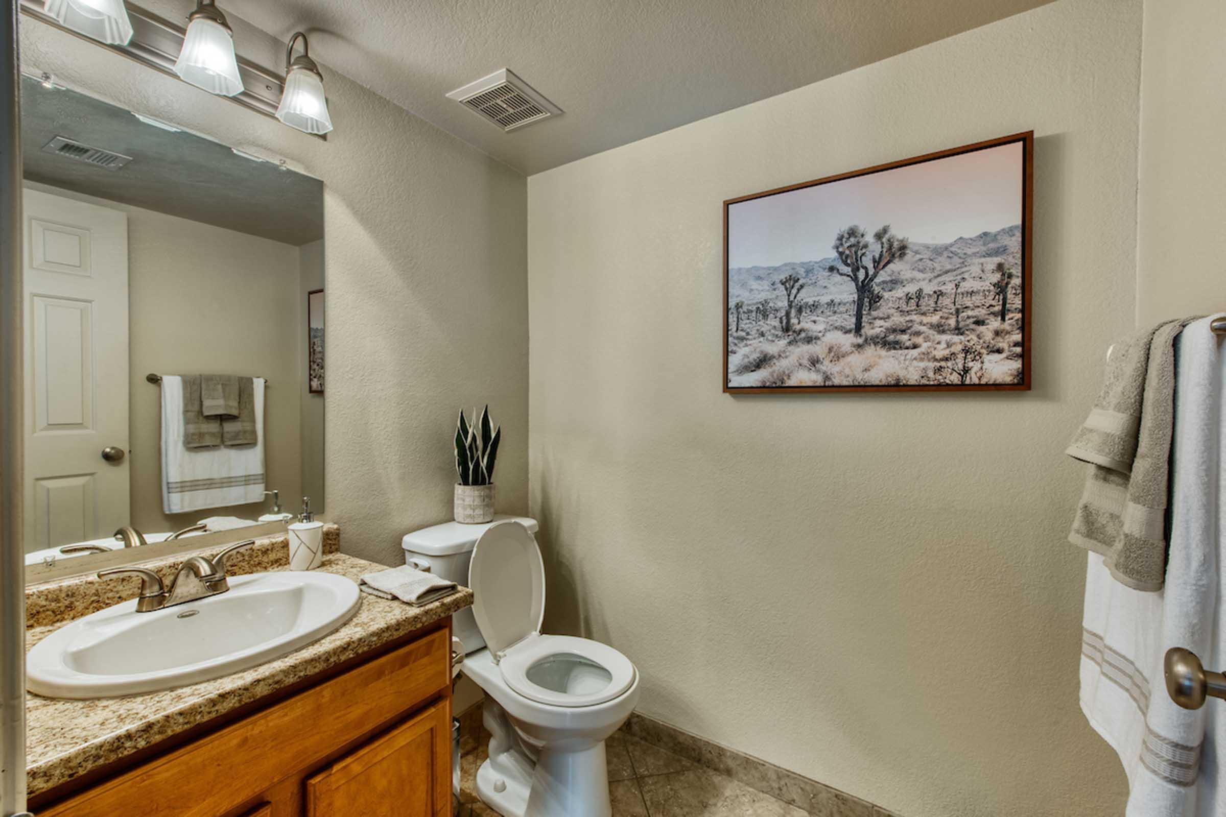 A modern bathroom featuring a light-colored wall, a granite countertop with a sink, a toilet, and a framed landscape photograph of a desert scene. There are towels neatly arranged and a small plant as decor. The lighting is soft and bright.