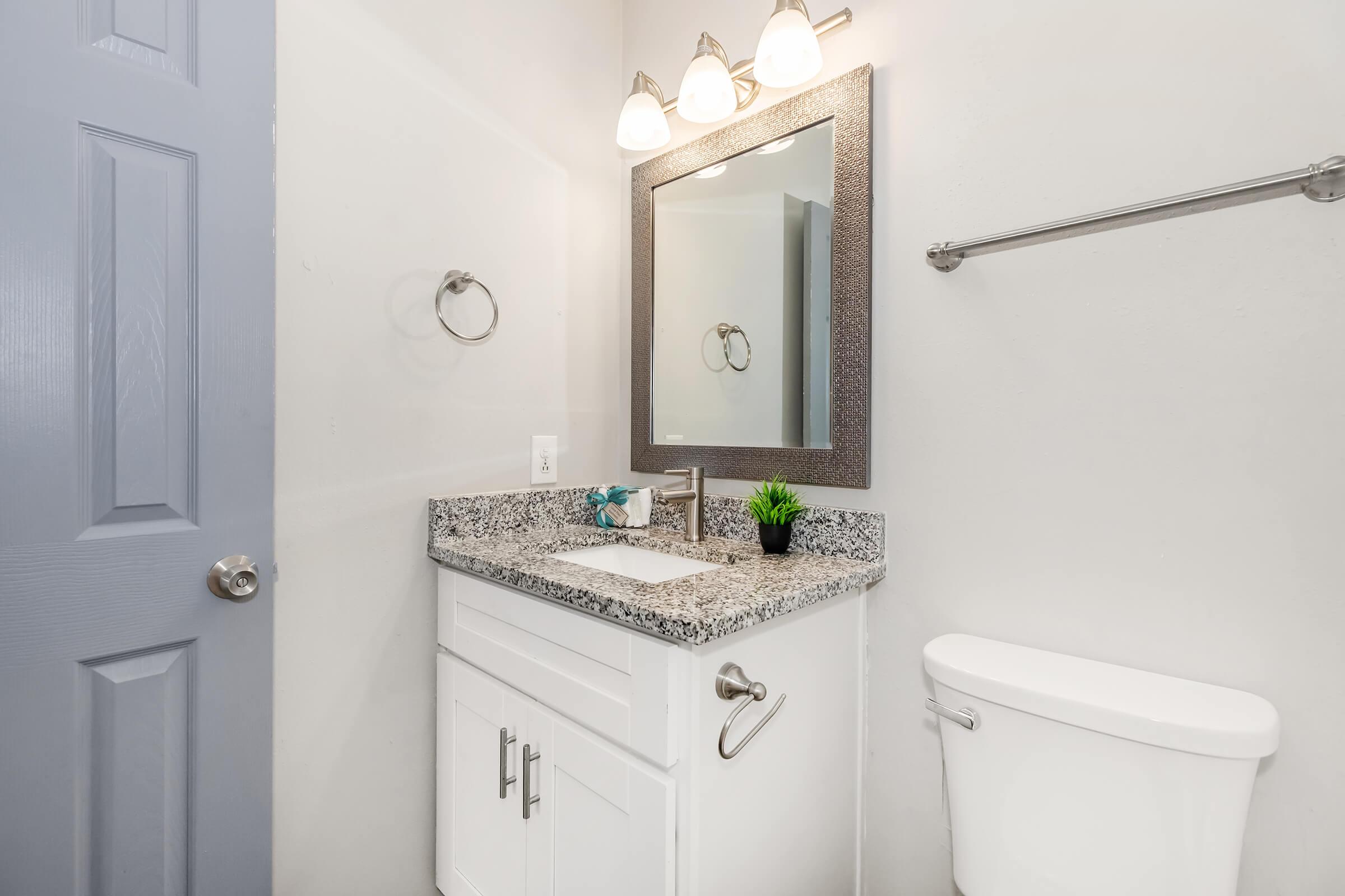 A modern bathroom featuring a granite countertop with a sink, a large mirror with decorative framing, a towel rack, and a white toilet. The walls are painted in a light color, and there is a small potted plant placed on the countertop. A light fixture above the mirror adds brightness to the space.