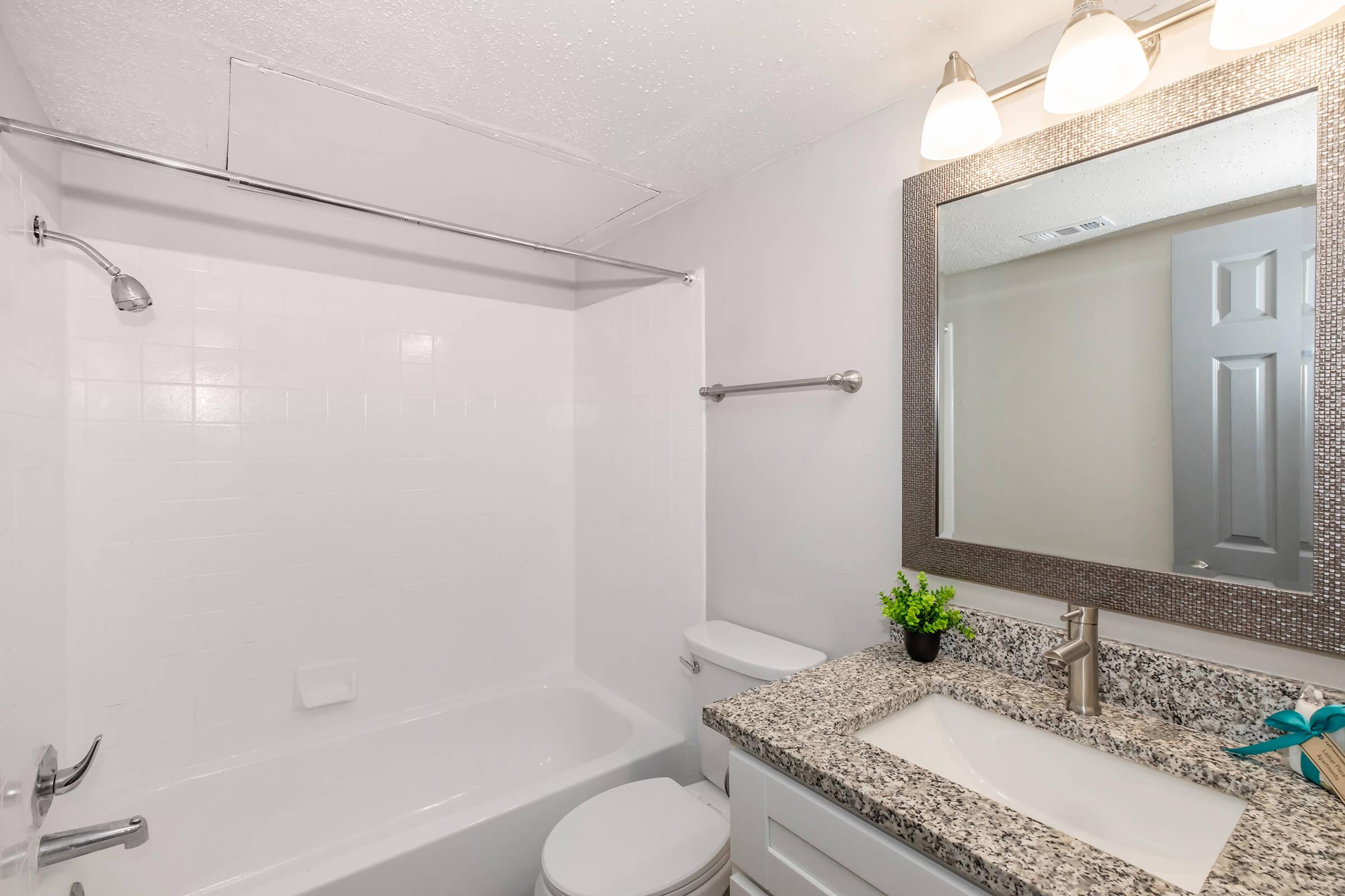 A clean, modern bathroom featuring a white bathtub and shower combination, a stylish granite countertop with a sink, a large mirror with a decorative frame, and a potted plant for decoration. The walls are light-colored, and there are three light fixtures above the mirror, providing bright illumination.