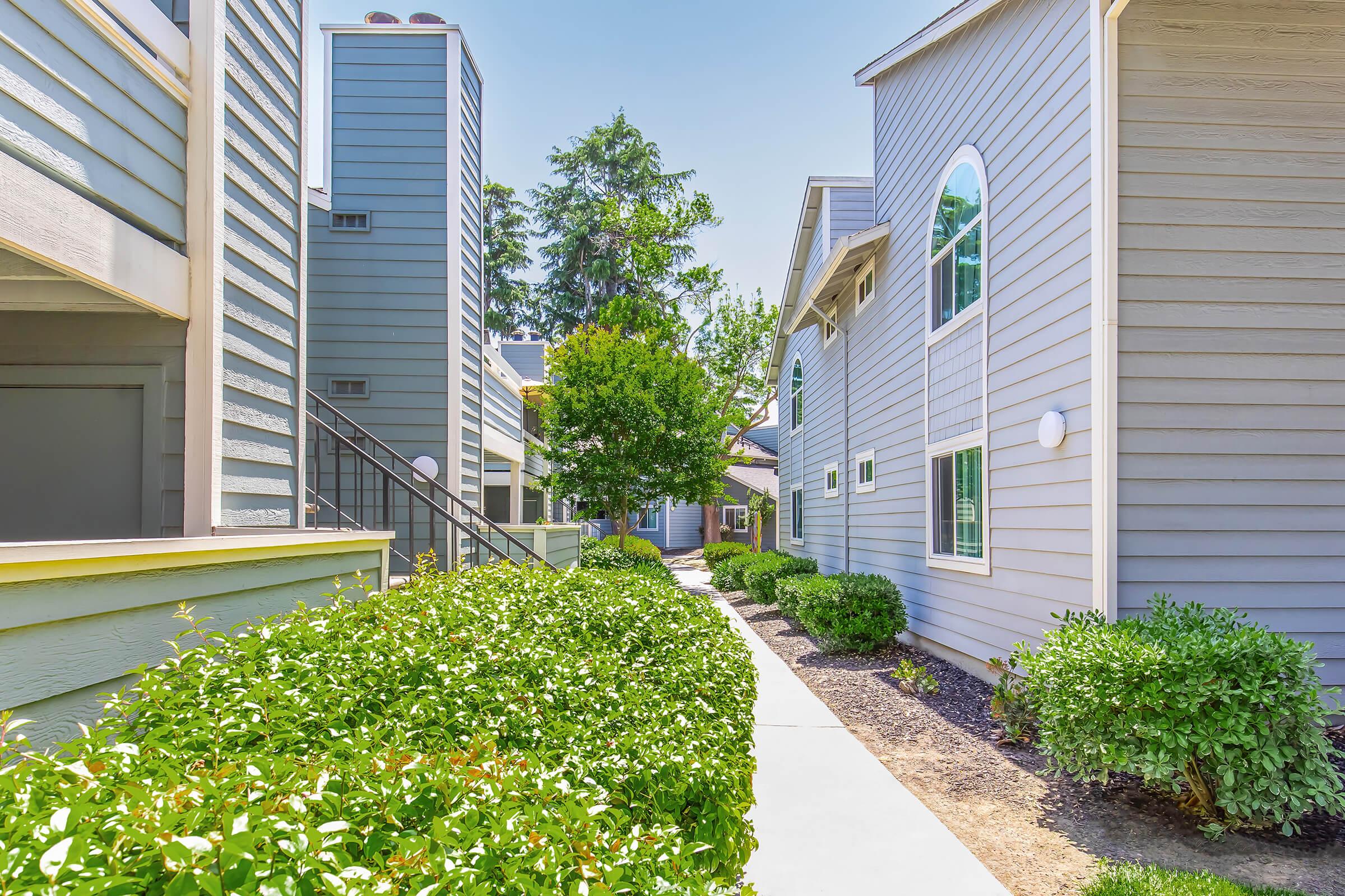 A sunny residential pathway lined with neatly trimmed shrubs, flanked by modern buildings with light gray siding. The walkway leads through the complex, with lush green trees providing some shade along the route.
