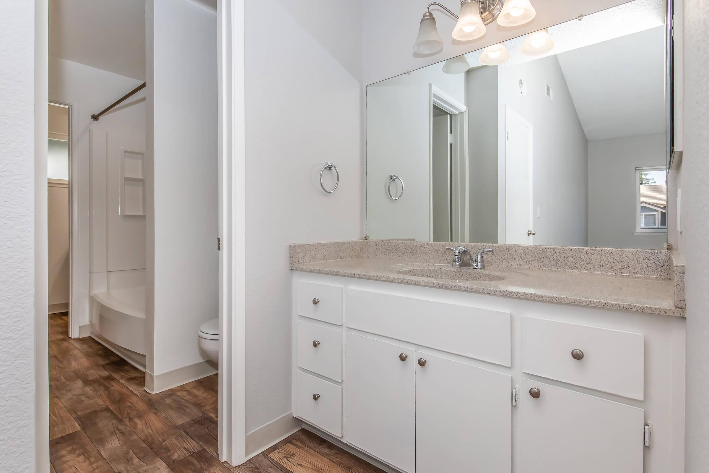 Bright and modern bathroom featuring a double sink vanity with a granite countertop, large mirror, and stylish light fixtures. A walk-in shower is visible on the left, and a door leads to a separate toilet area. The room has light-colored walls and wood-like flooring, creating a warm and inviting atmosphere.