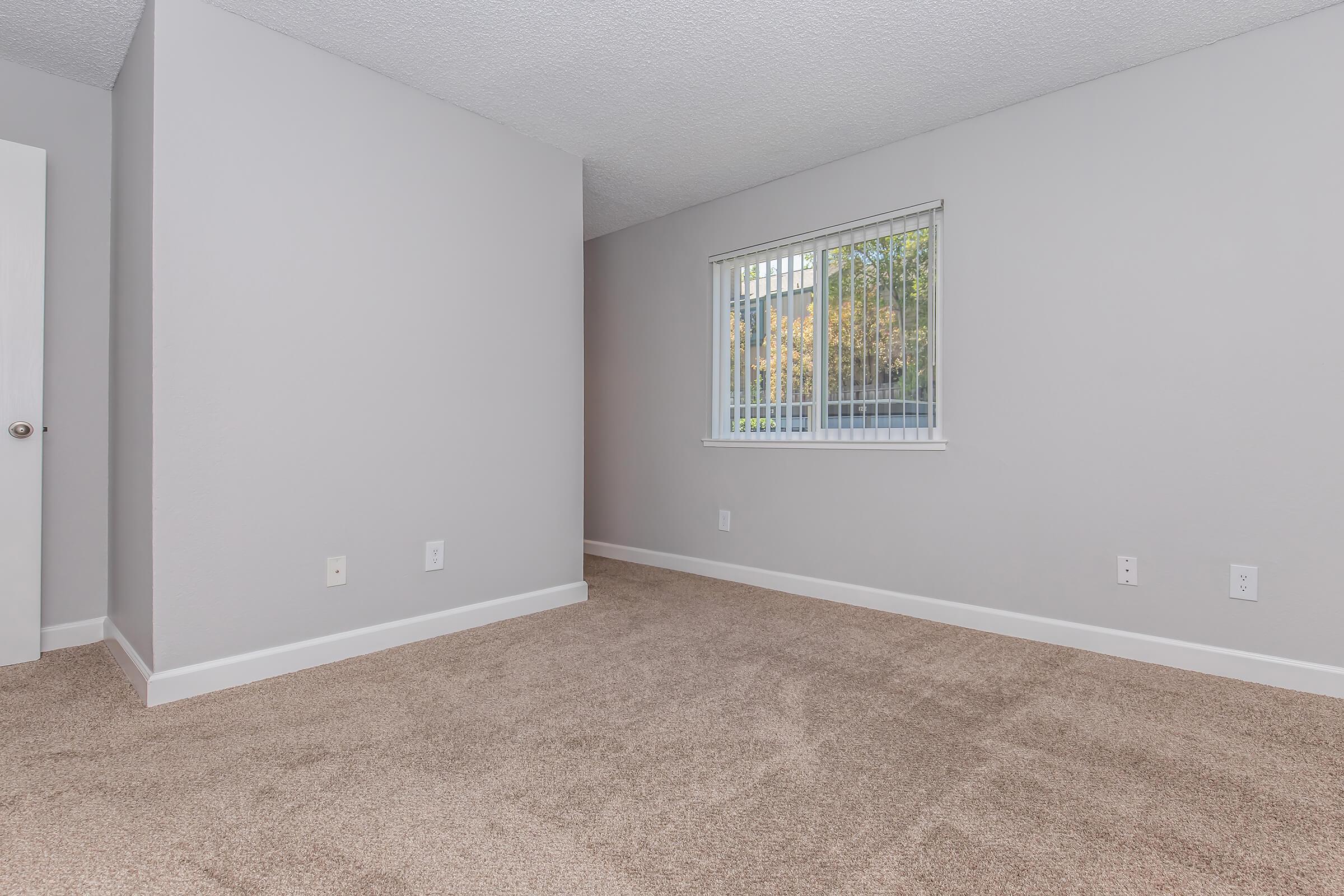 A spacious, empty room with light gray walls and soft beige carpet. There is a window with white blinds on one wall, allowing natural light to enter. The opposite wall has no furniture or decor, creating a minimalistic and clean appearance.