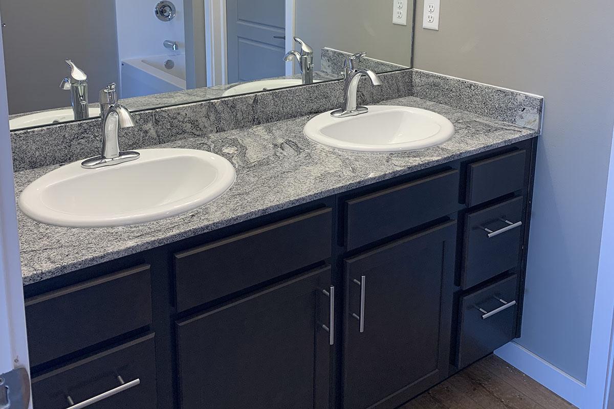 TASTEFUL AND CHIC DOUBLE SINKS