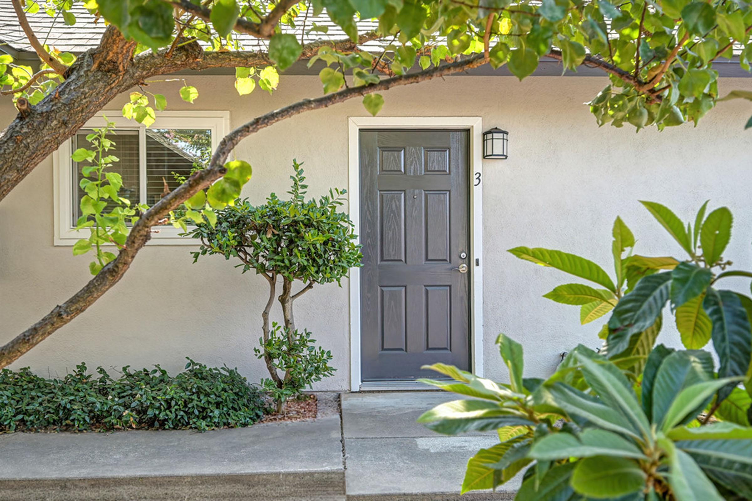 A charming entrance featuring a gray front door with a single doorknob, set against a light-colored wall. Flanking the door are well-maintained green shrubs and plants, with a leafy tree branch arching overhead, creating a welcoming and serene atmosphere. Sunlight filters through the foliage.