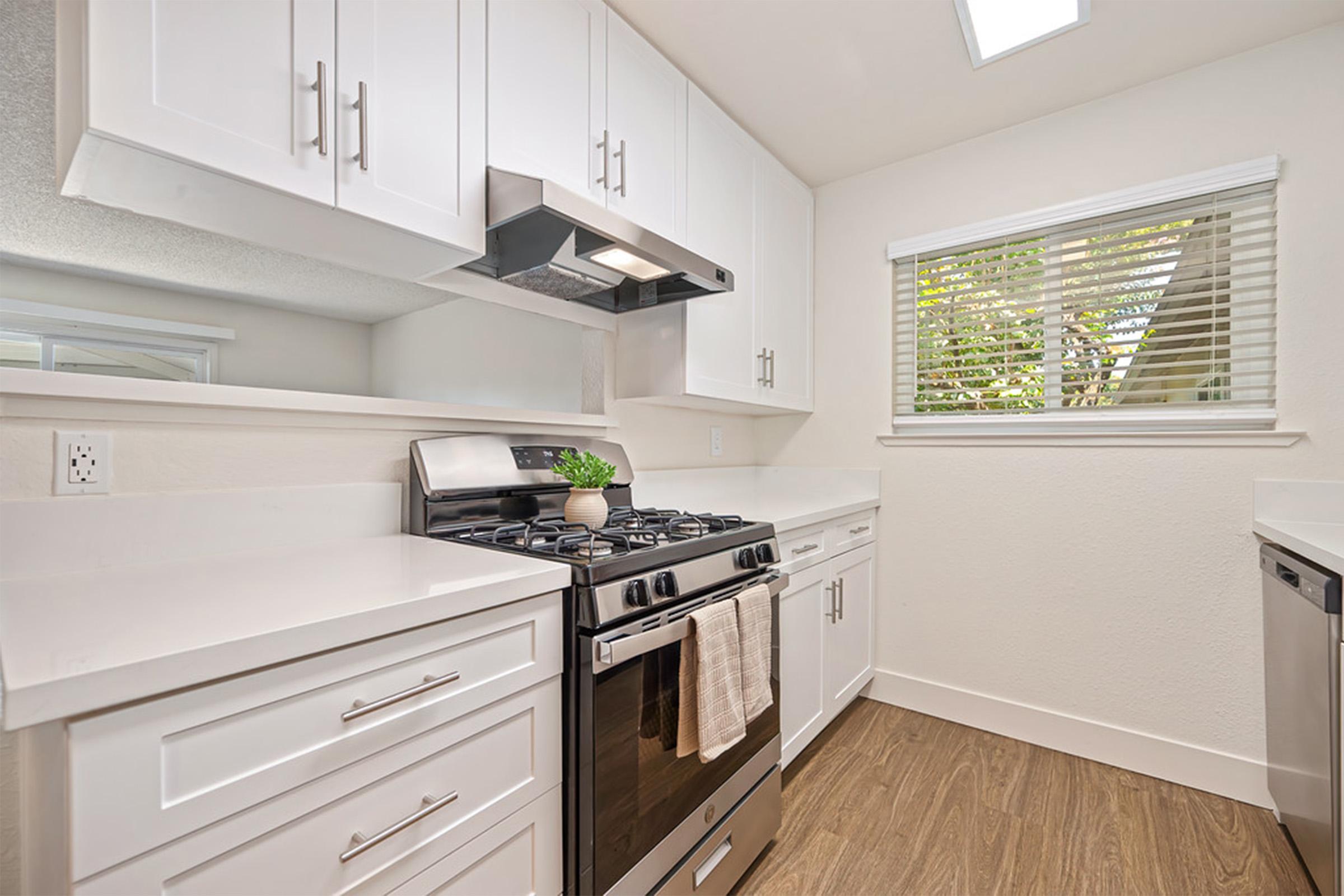 Modern kitchen featuring white cabinetry, a stainless steel gas stove with a hood, a dishwasher, and sleek countertops. Natural light pours in through the window, framed by horizontal blinds, creating a bright and clean atmosphere. A small potted plant adds a touch of greenery.