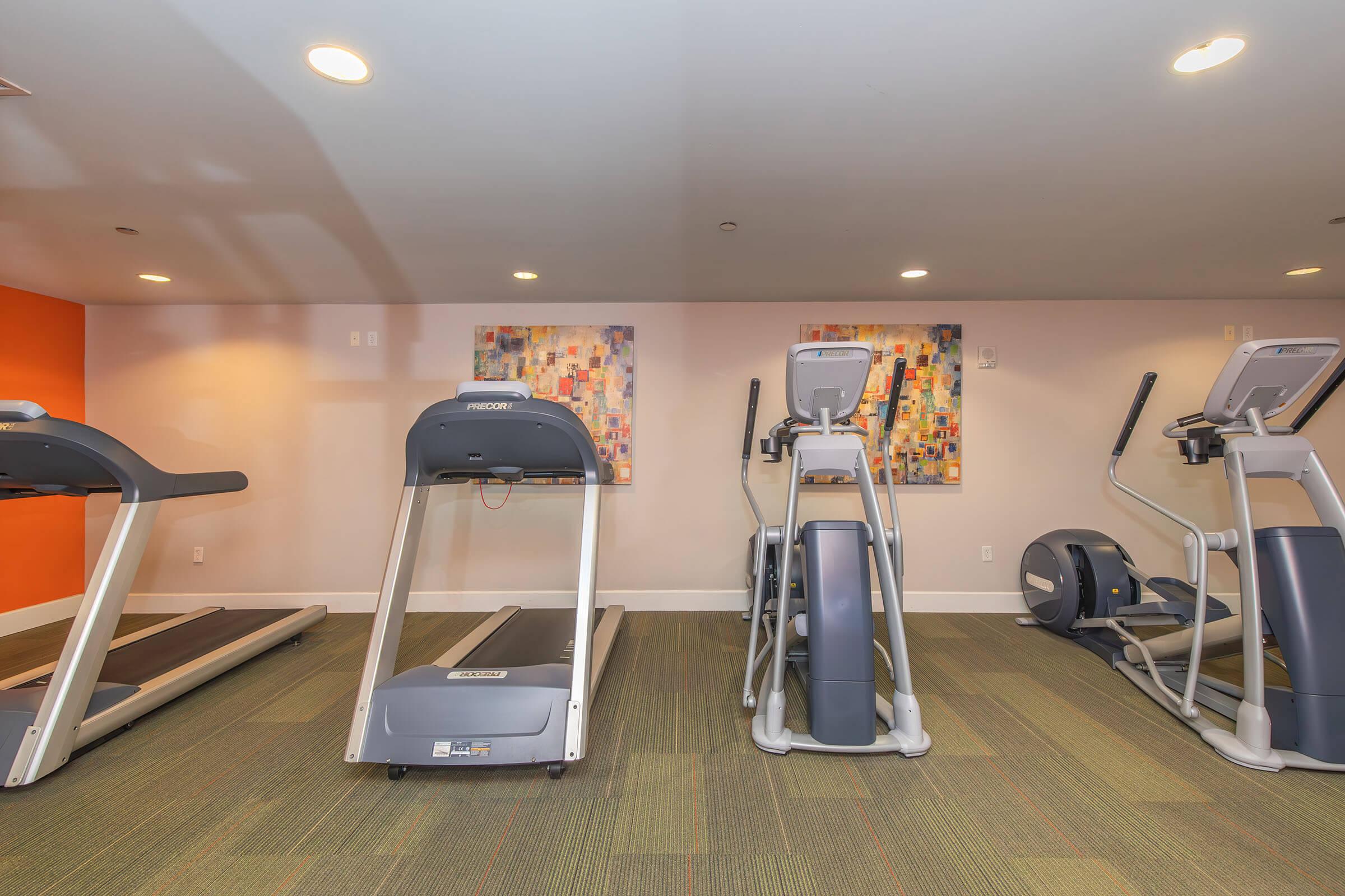 A modern gym interior featuring three cardio machines: a treadmill, an elliptical, and a stationary bike. The walls are a soft color with two abstract paintings, and additional lighting is provided by ceiling fixtures, creating a bright and inviting workout space.