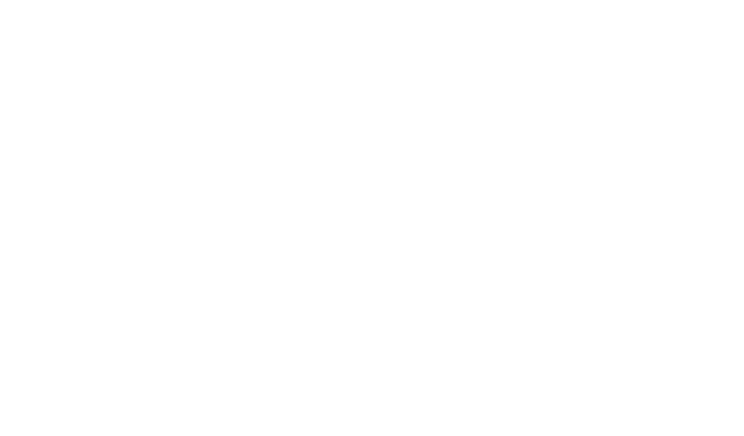 Solivita Commons ebrochure logo
