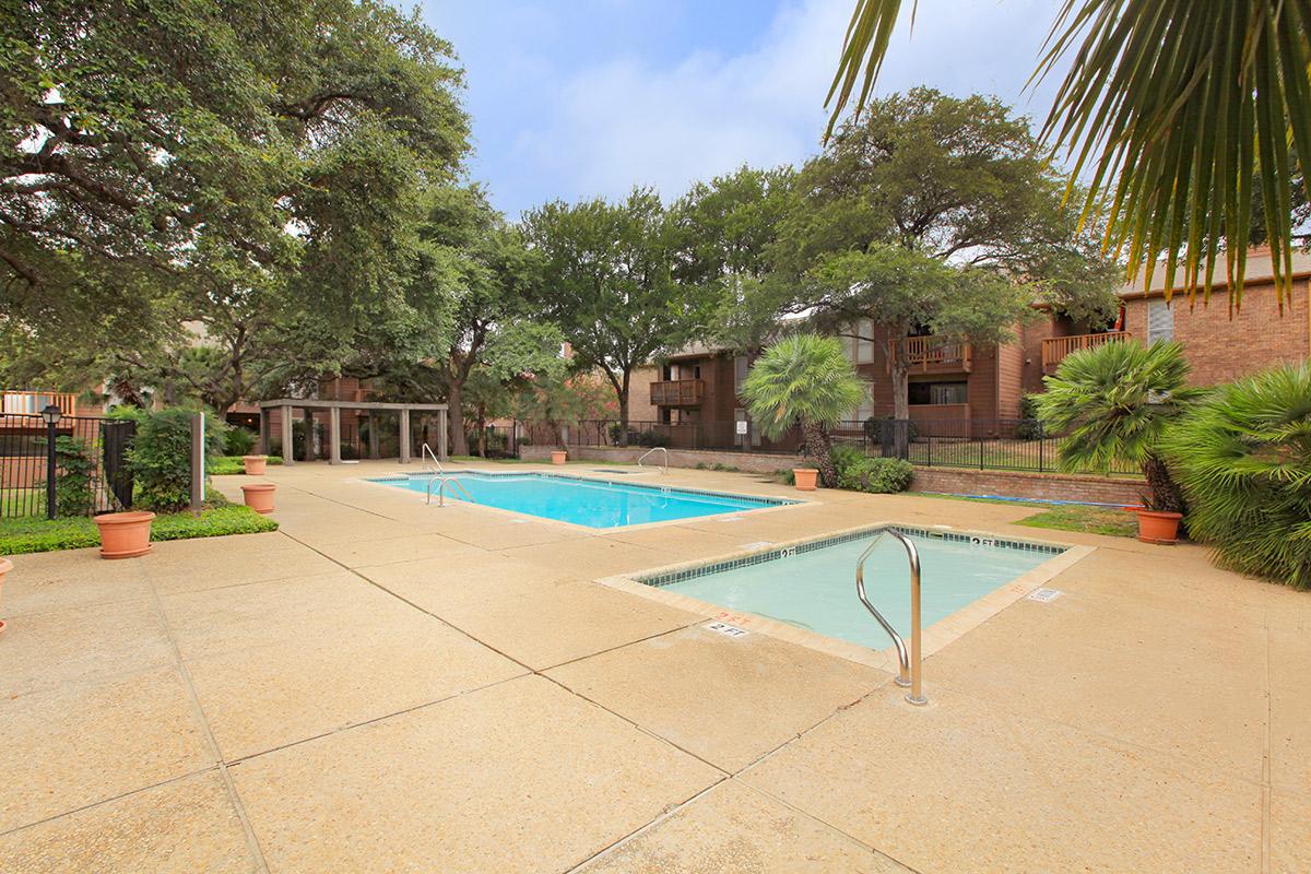 a pool next to a tree