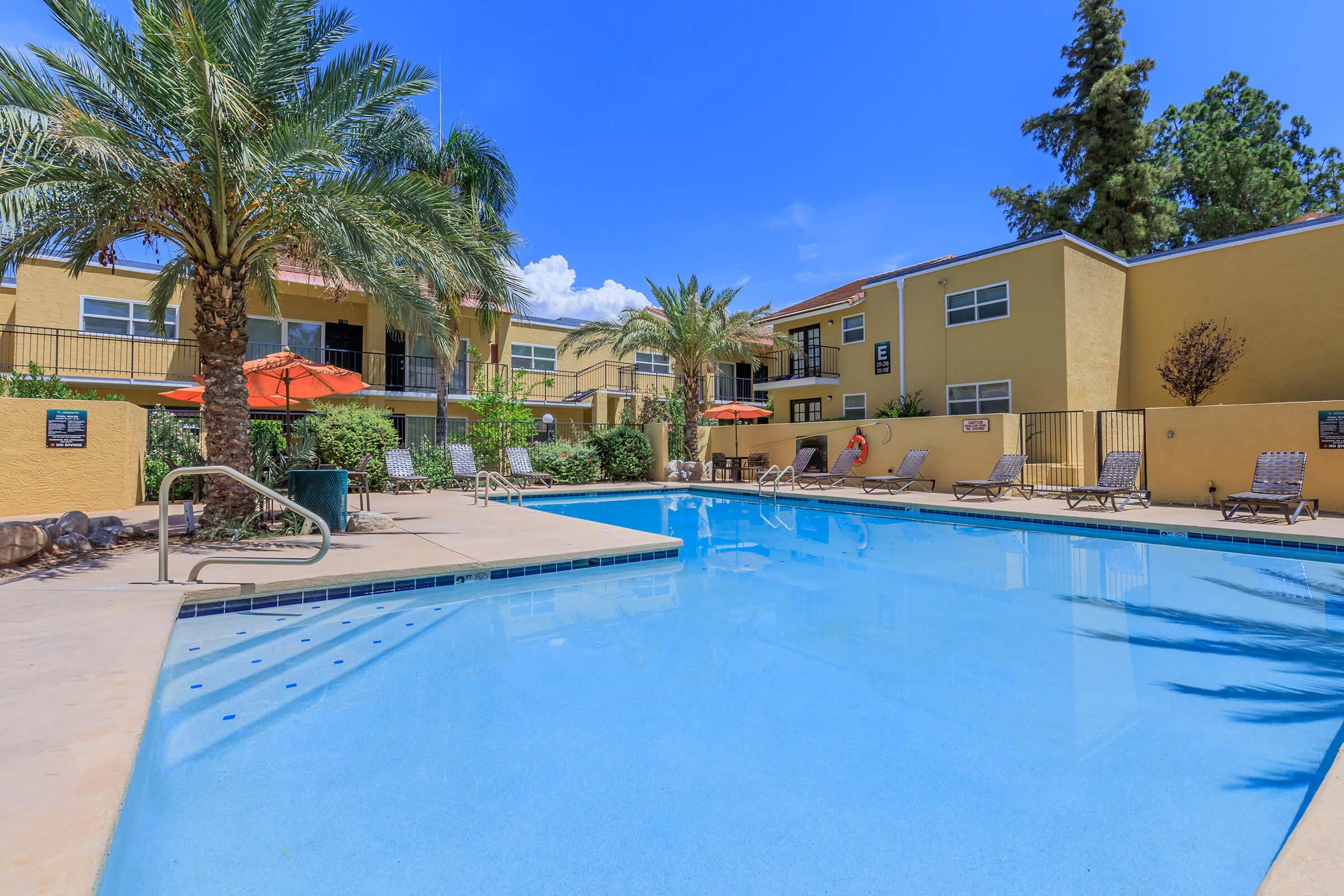 A sunny outdoor swimming pool surrounded by lounge chairs and palm trees. Yellow apartment buildings are visible in the background, with umbrellas providing shade. The clear blue water reflects the bright sky, creating a relaxing atmosphere for residents and guests.