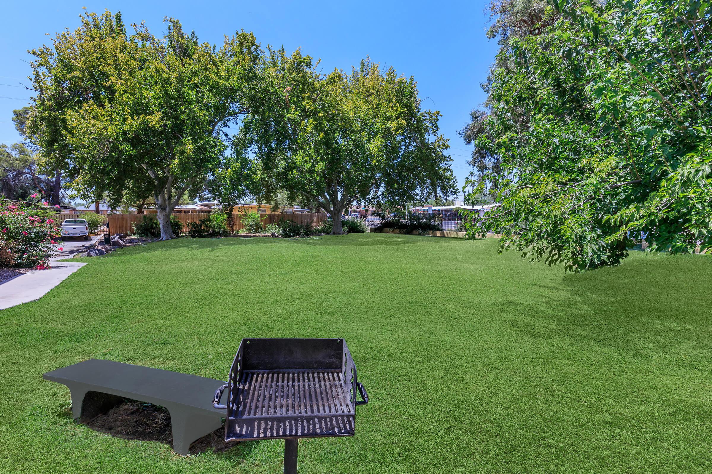 A spacious green lawn with two large trees and a grill in the foreground. The area is sunny and has a clear blue sky, with a few parked cars visible in the distance. The setting appears perfect for outdoor gatherings or barbecues.