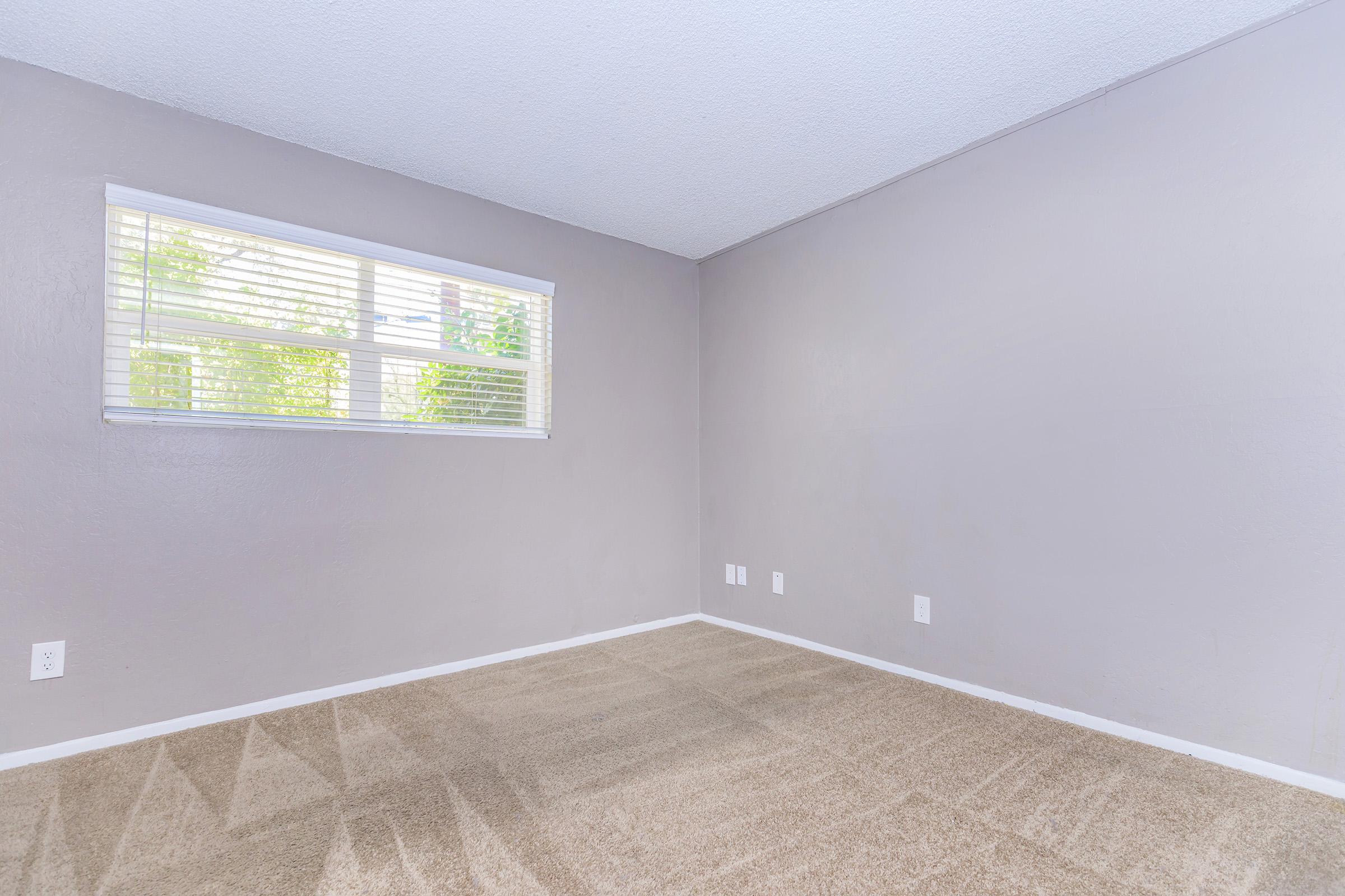 Empty room with light gray walls and a large window with white blinds allowing natural light. The floor is covered with beige carpet, and there are electrical outlets on the wall. The space feels clean and unfurnished, ready for decorating.