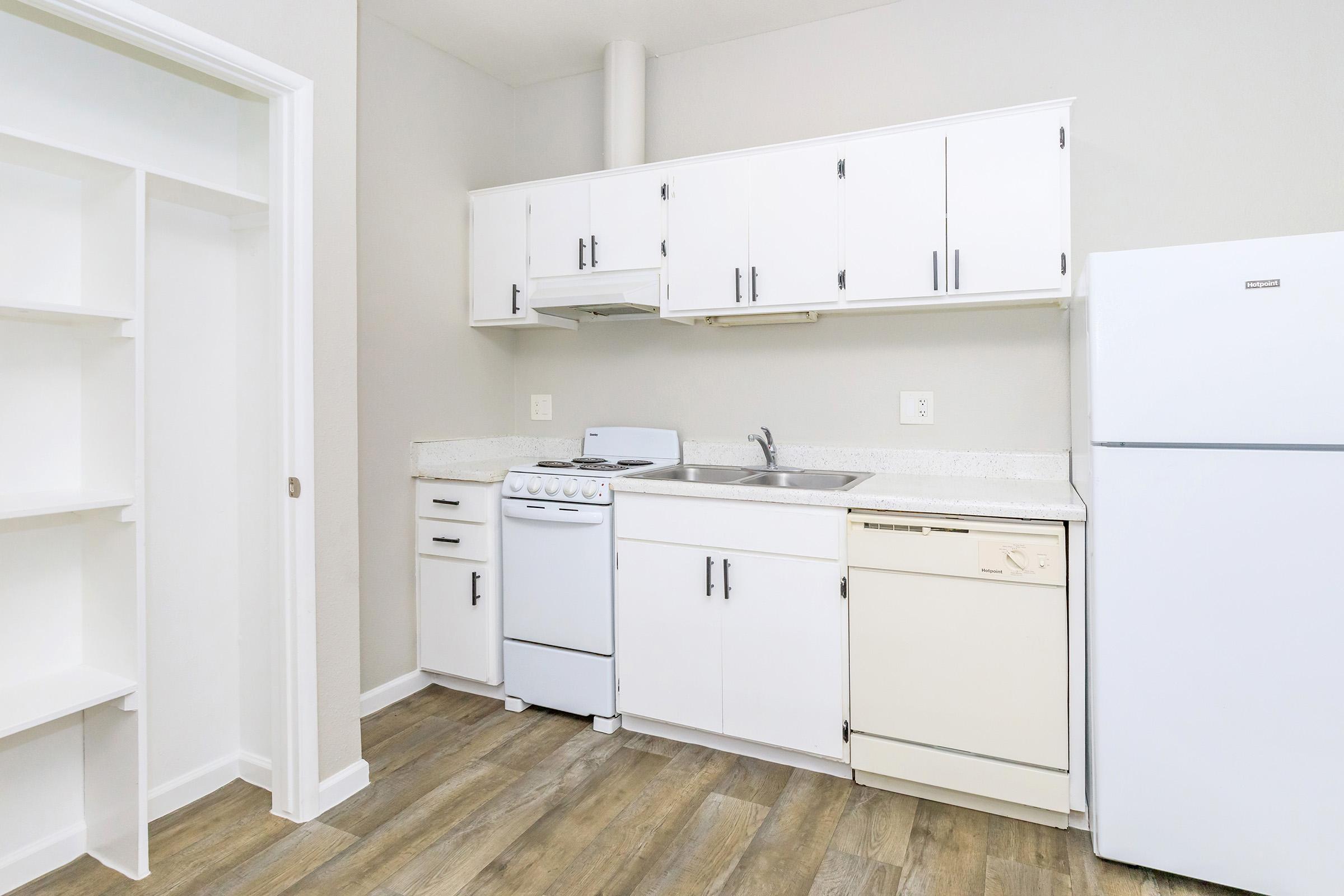 A small, modern kitchen featuring white cabinets, a double sink, a stove, and a dishwasher. The walls are painted light gray, and the flooring is a wood-like laminate. A refrigerator stands against the wall, with a pantry or shelving space visible to the left.