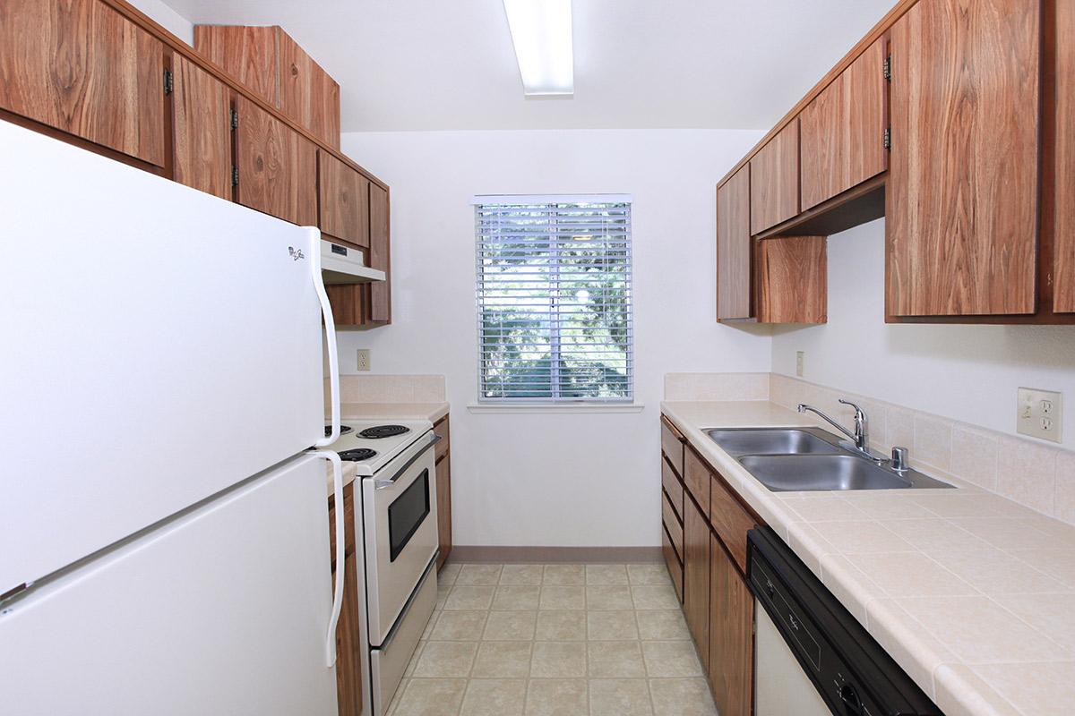 a kitchen with a stove sink and refrigerator