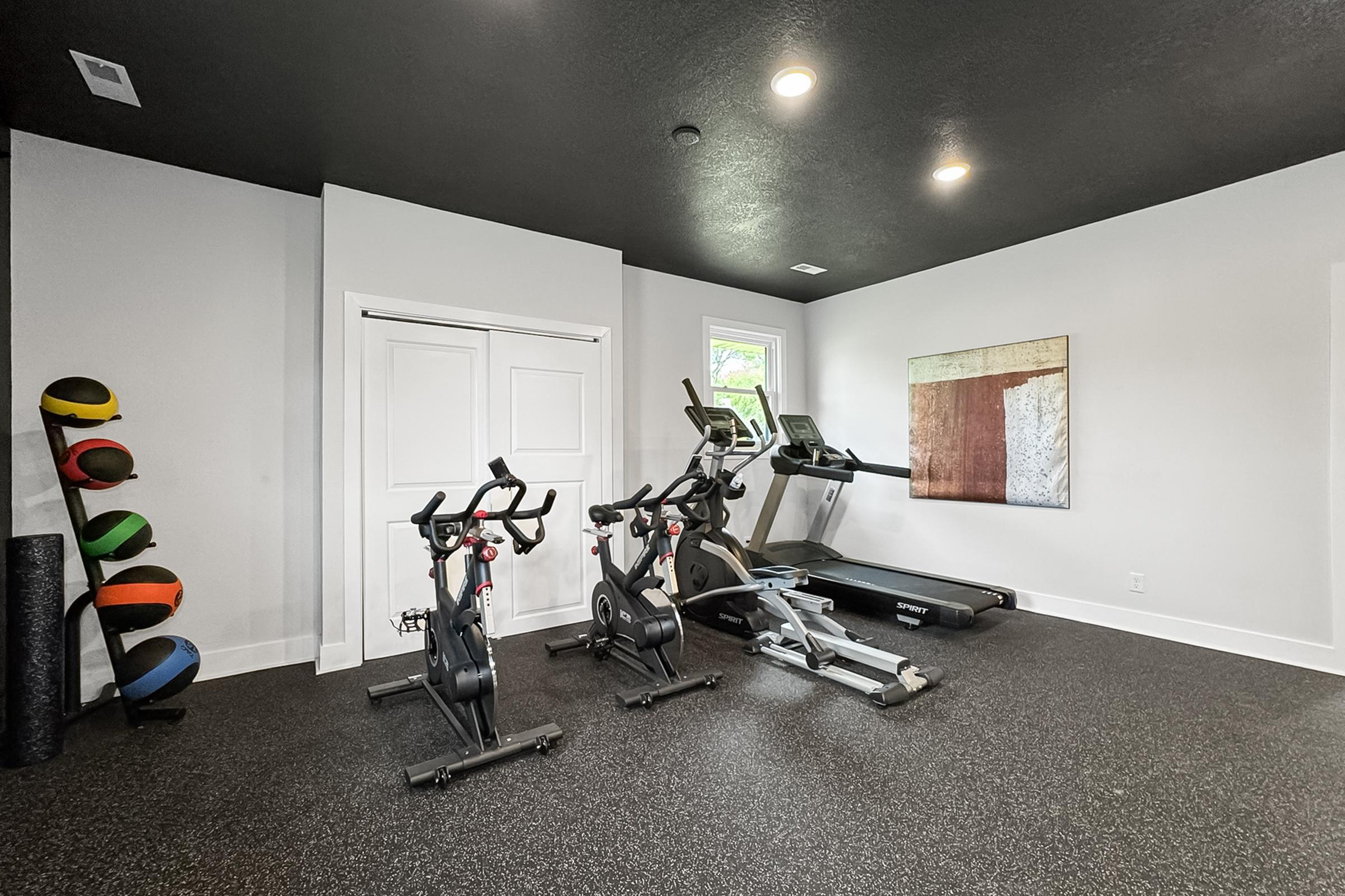 A modern home gym featuring exercise equipment, including two stationary bikes and a treadmill. The space has a dark ceiling, light walls, and rubberized flooring. Colorful exercise balls are stacked against a wall, and an abstract art piece hangs on the opposite wall, adding a decorative touch.