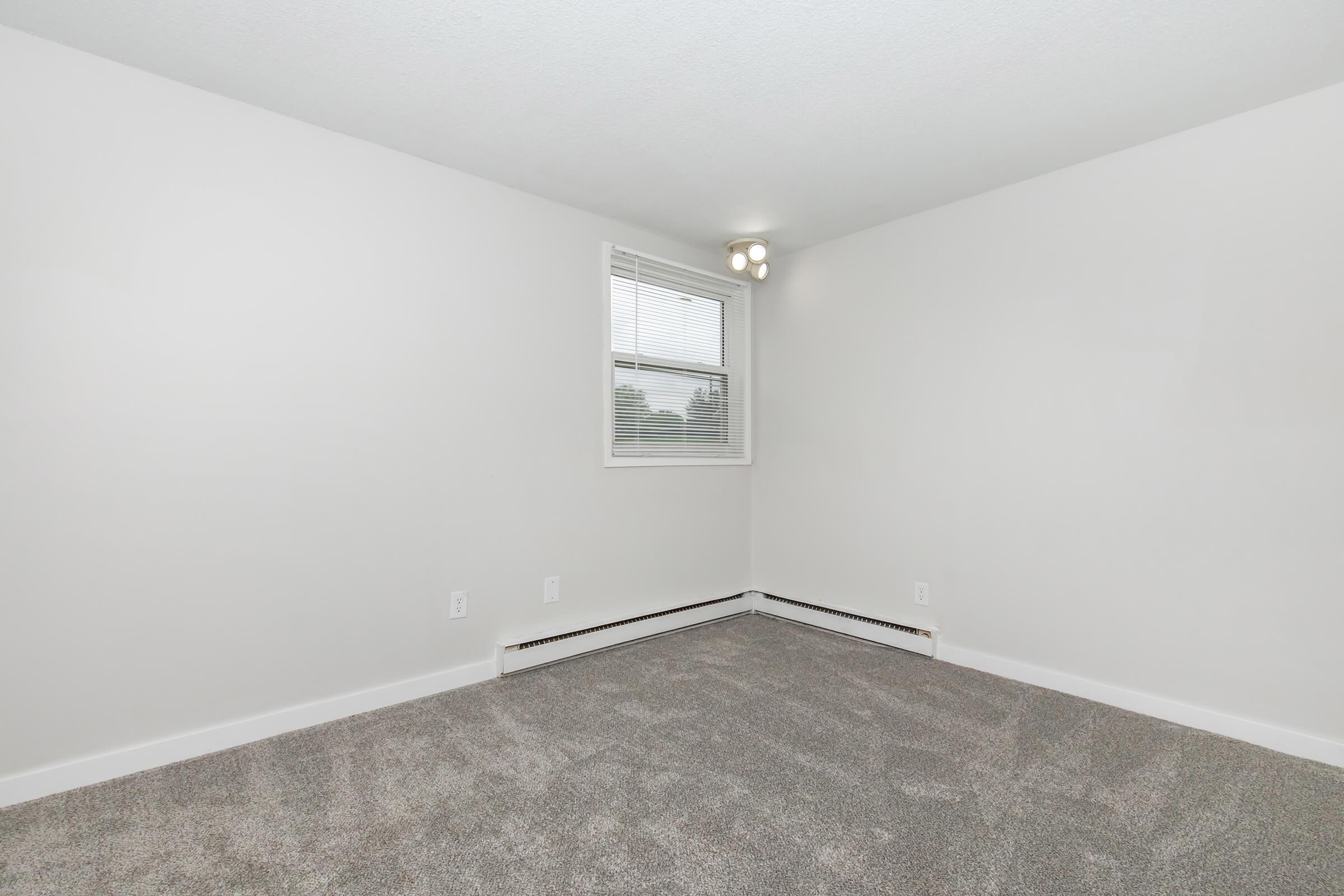 Carpeted bedroom with large window and soft neutral tones in renovated Bexley 1-bedroom unit.
