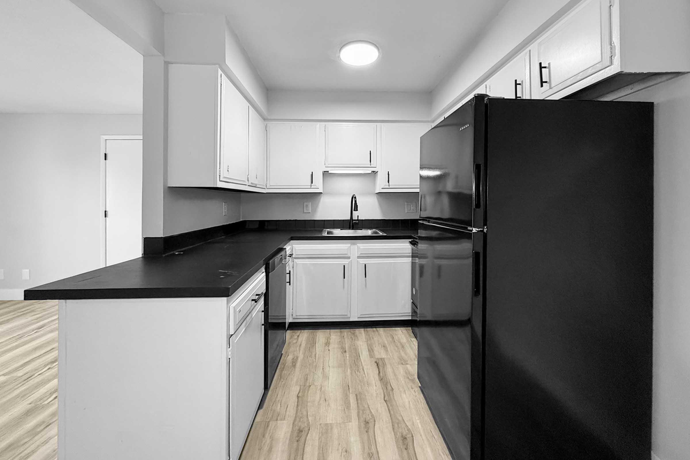 Modern kitchen featuring white cabinets, a black countertop, and stainless steel appliances. Includes a black refrigerator, a sink with a faucet, and ample storage space. The flooring is light wood, and the room is well-lit with overhead lighting, creating a spacious and inviting atmosphere.
