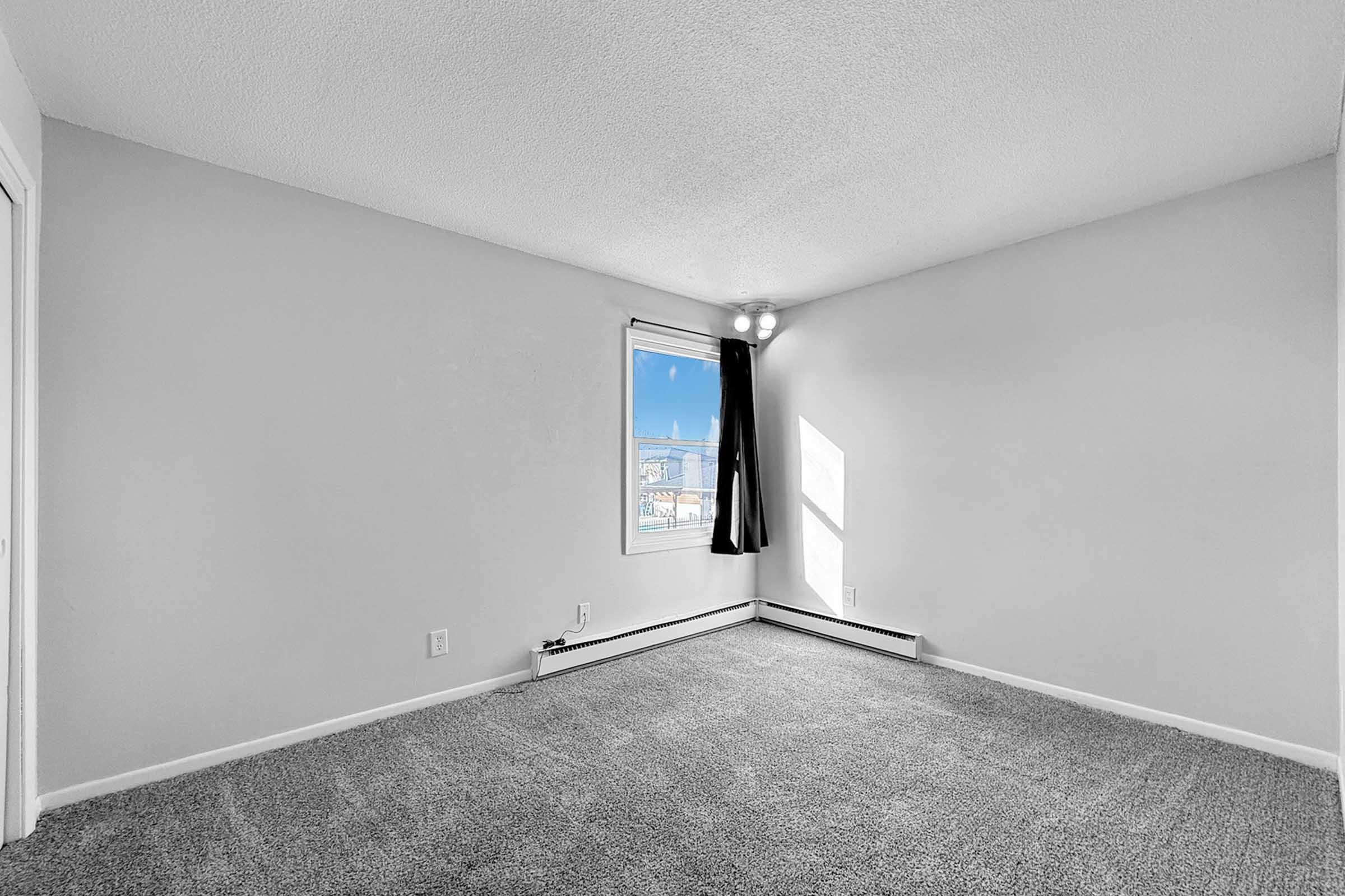 A vacant, light-filled room with gray carpet and light gray walls. A single window with a curtain allows natural light to enter, creating a bright atmosphere. The room is unadorned, emphasizing its spaciousness and potential for decoration or furniture placement.