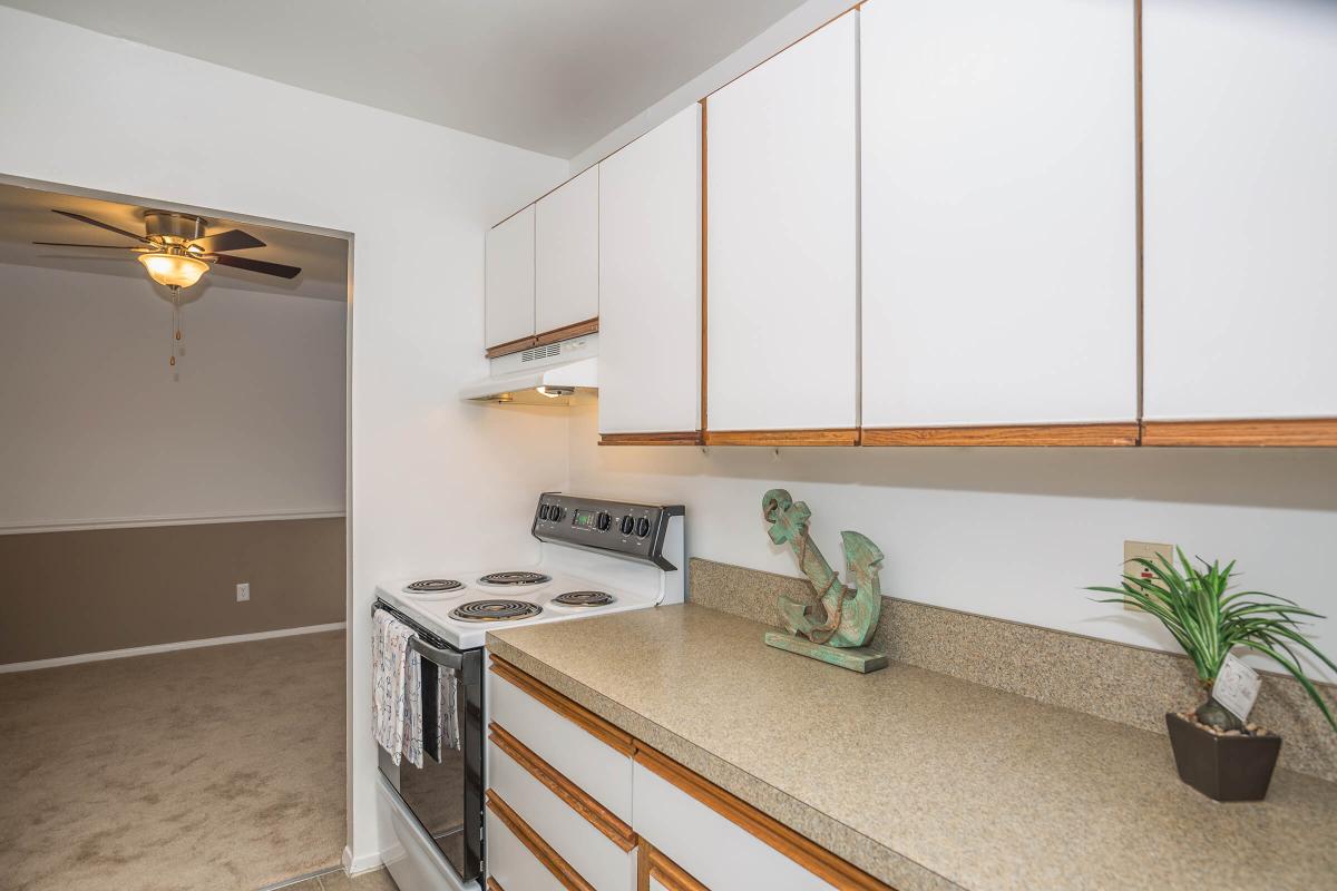 a kitchen with a stove and a sink