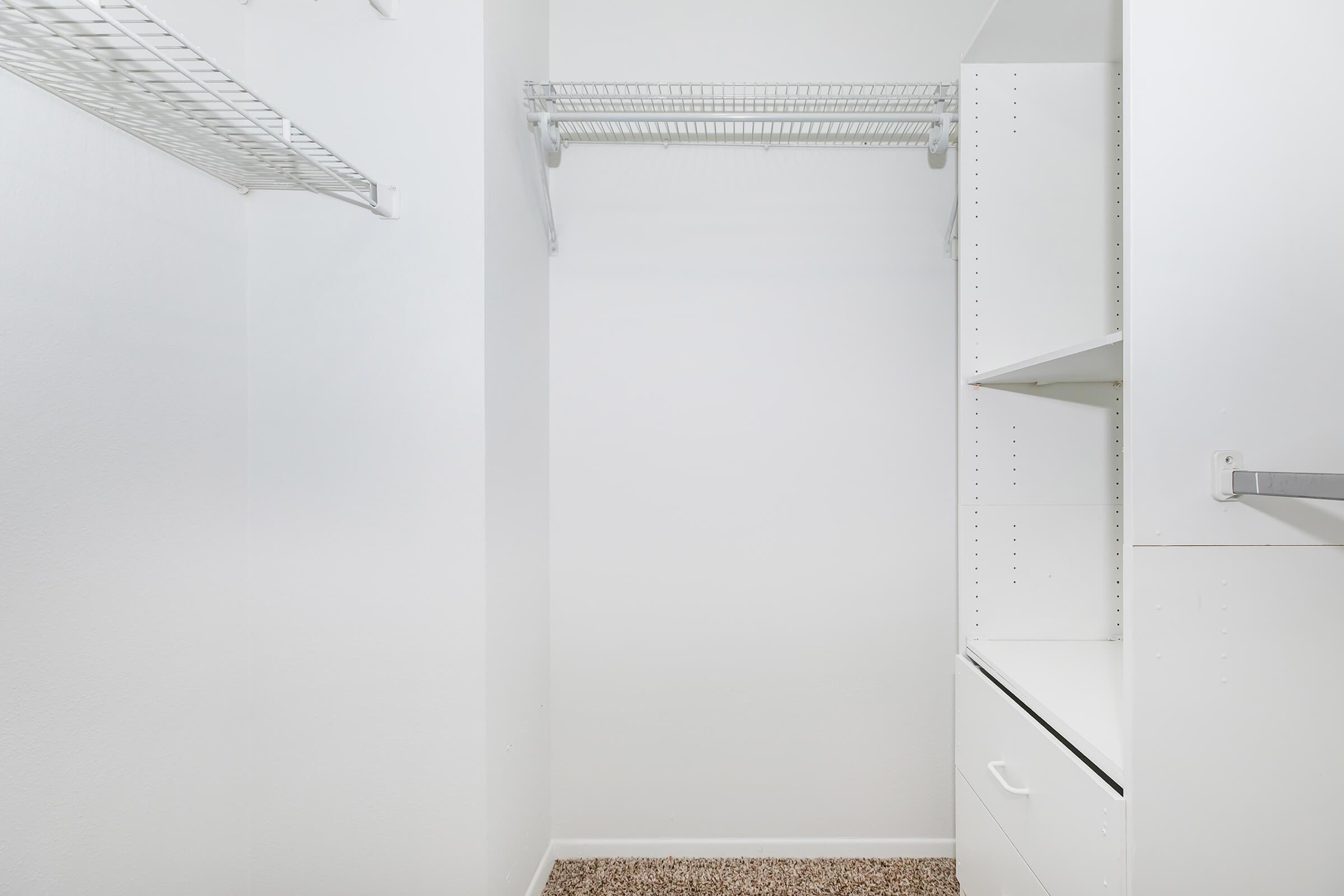 A vacant, minimalist closet featuring white shelving, a hanging rod, and light-colored walls. The floor is covered with beige carpet, creating a clean and tidy space that emphasizes organization and simplicity.