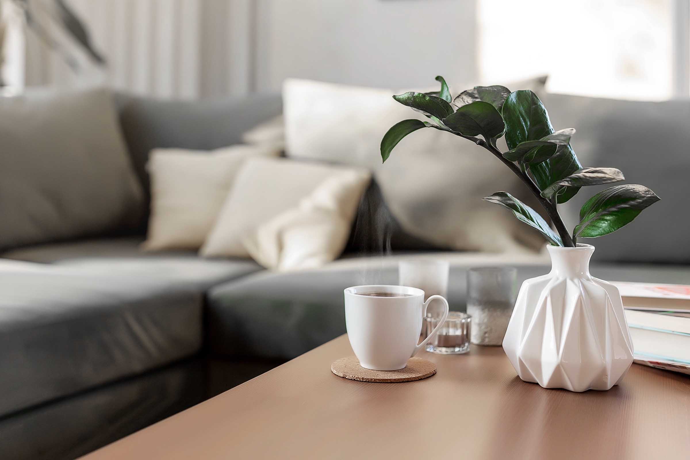 Apartment Features