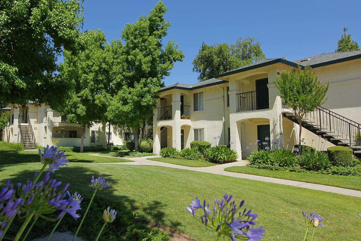 a close up of a flower garden in front of a house