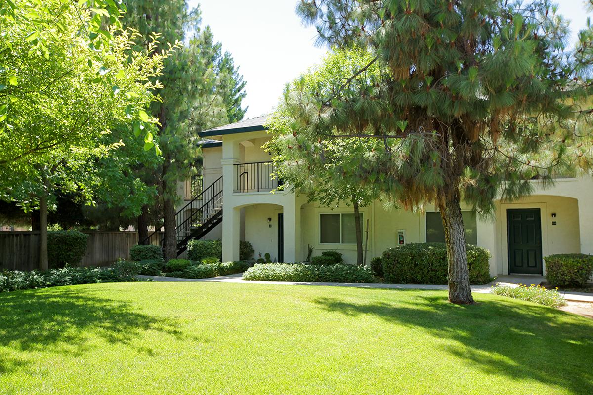 a tree in front of a house