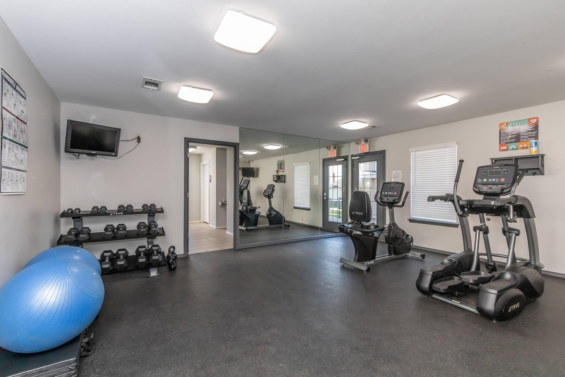 A fitness room featuring exercise equipment, including dumbbells on a rack, an elliptical machine, and a stationary bike. There's a stability ball on the floor, a wall-mounted TV, and a large mirror. Natural light comes in through windows, creating a bright and open workout space.