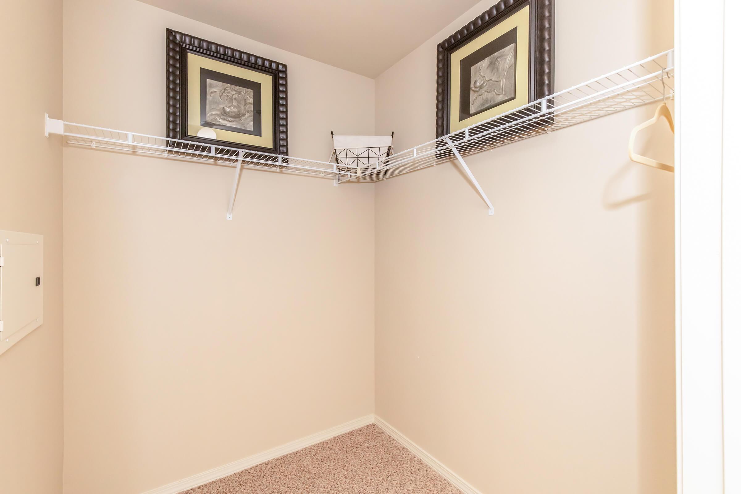 A small, empty closet featuring a white wire shelf at the top, two framed pictures hanging on the wall, and a metallic basket on the shelf. The closet has beige walls and carpeted flooring, creating a neutral and spacious appearance. There is one hanger on the shelf.