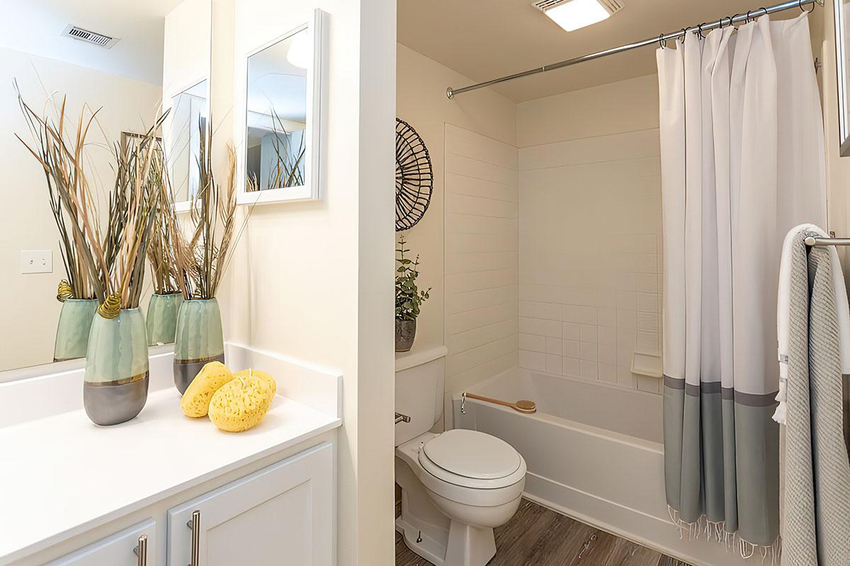 a shower curtain next to a sink