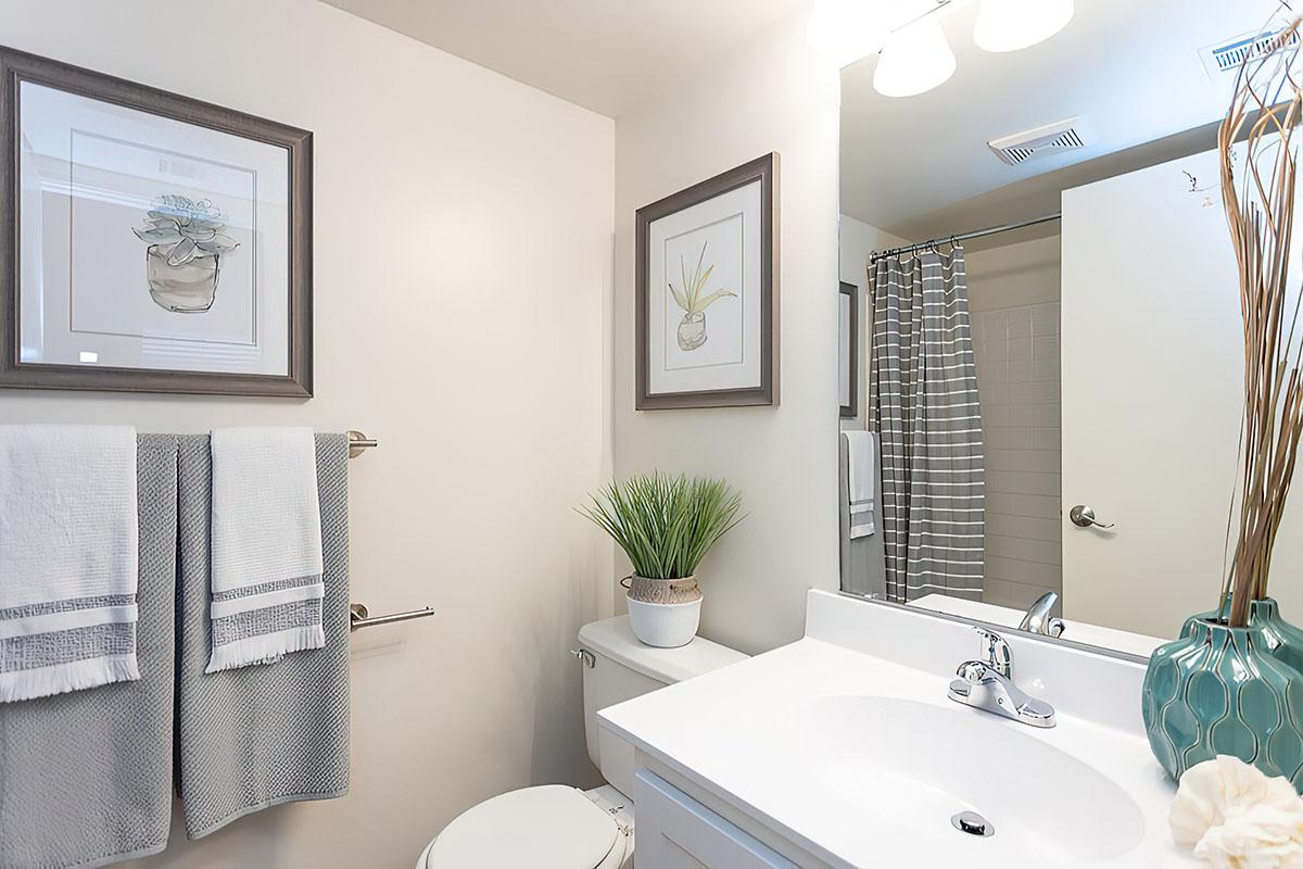 a room with a sink and a mirror