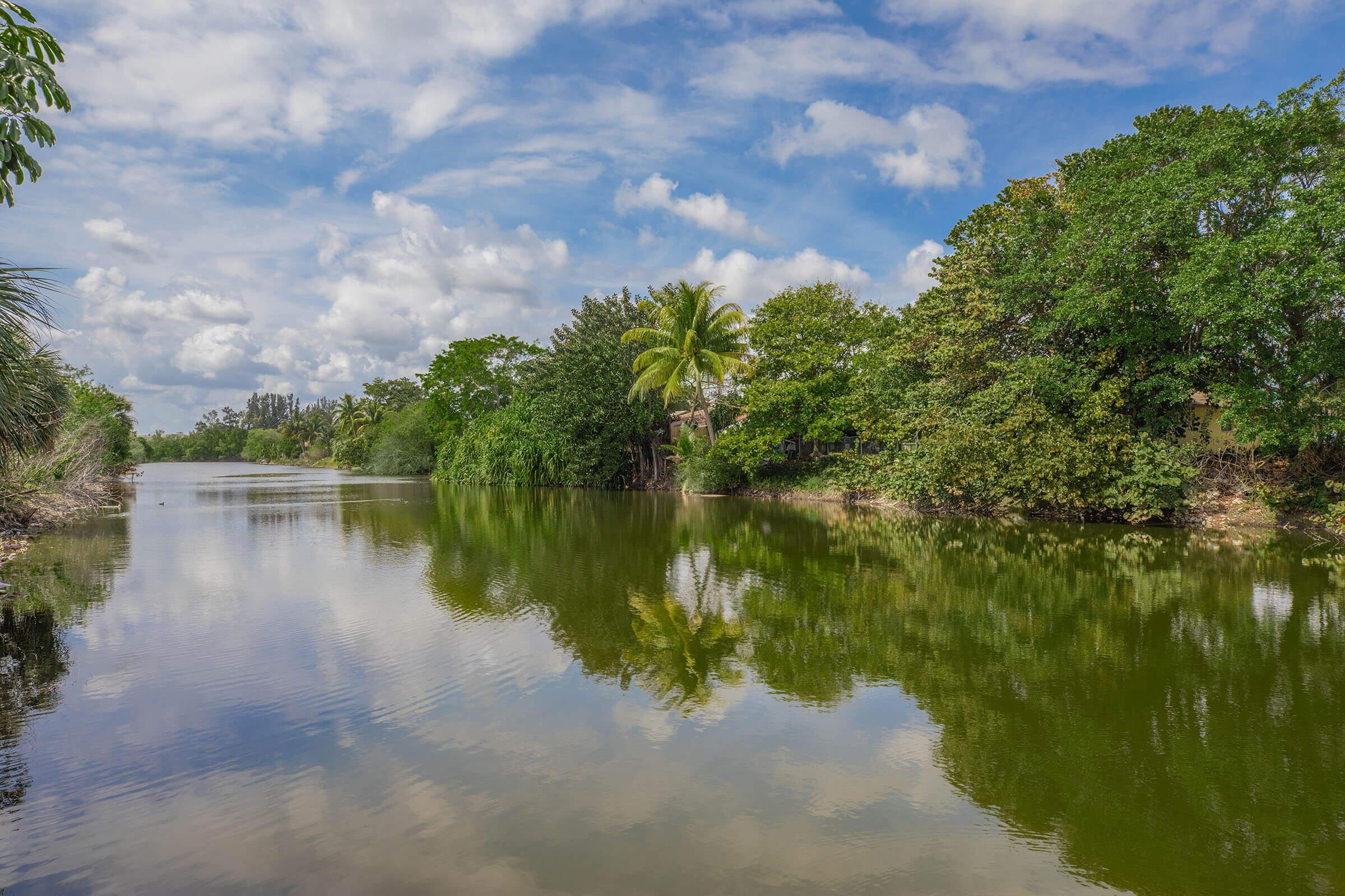 a body of water surrounded by trees