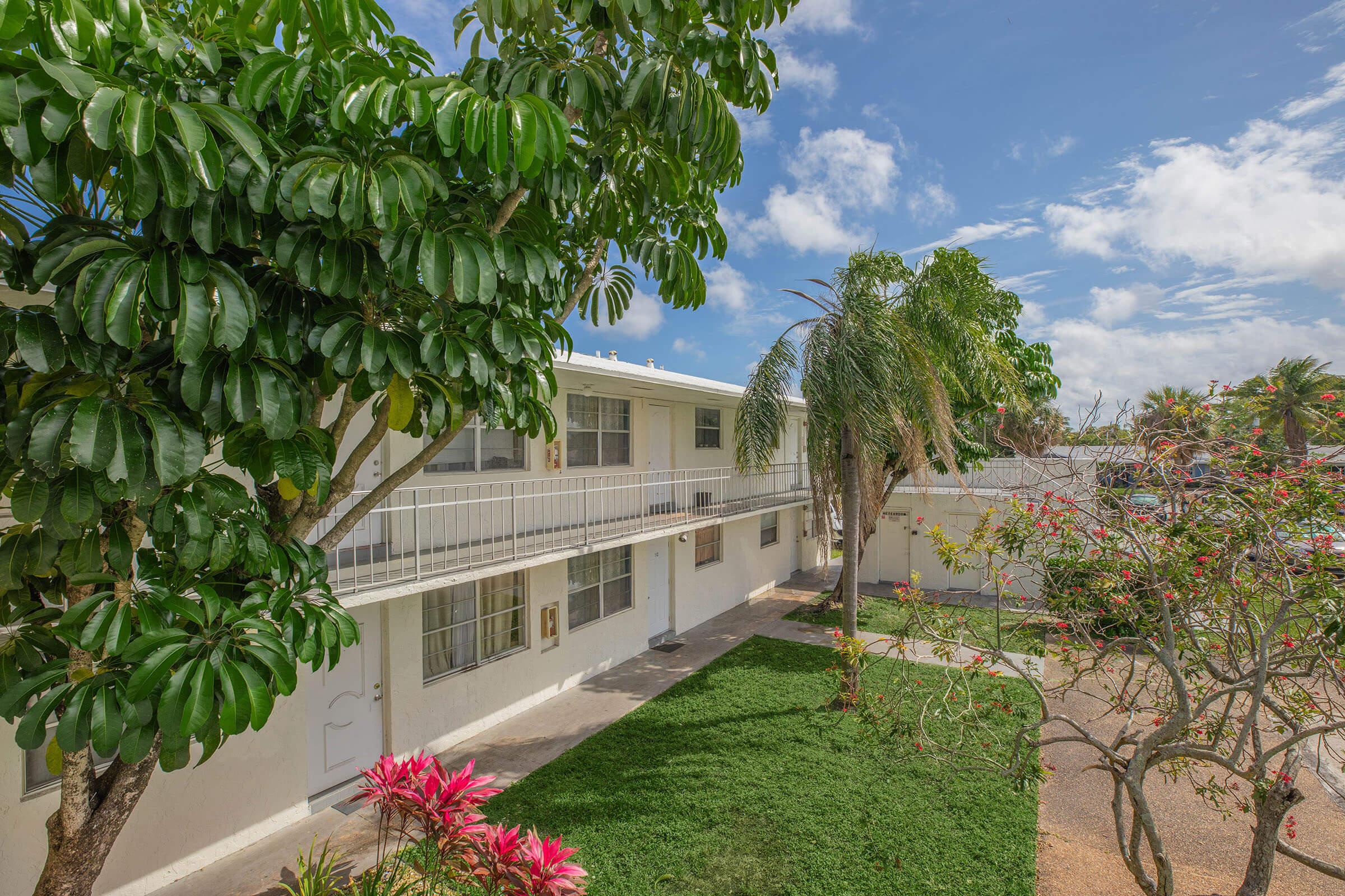 a tree in front of a palm tree