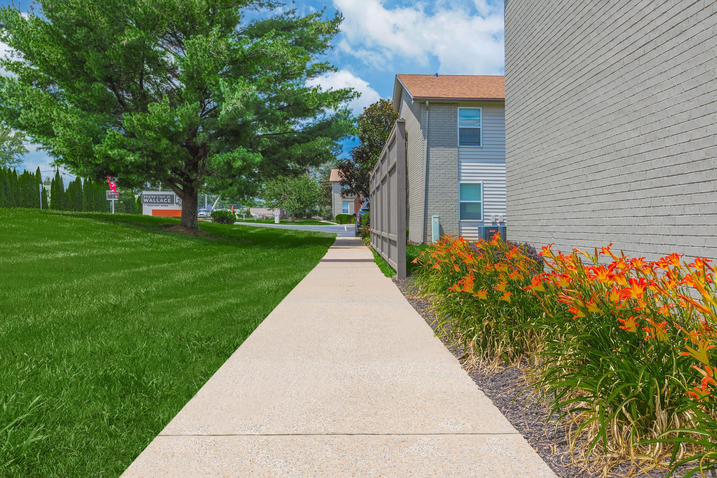 A paved walkway bordered by vibrant orange flowers on one side and lush green grass on the other, leading past a low fence to a residential area with buildings in the background. The sky is partly cloudy, creating a bright and inviting atmosphere.