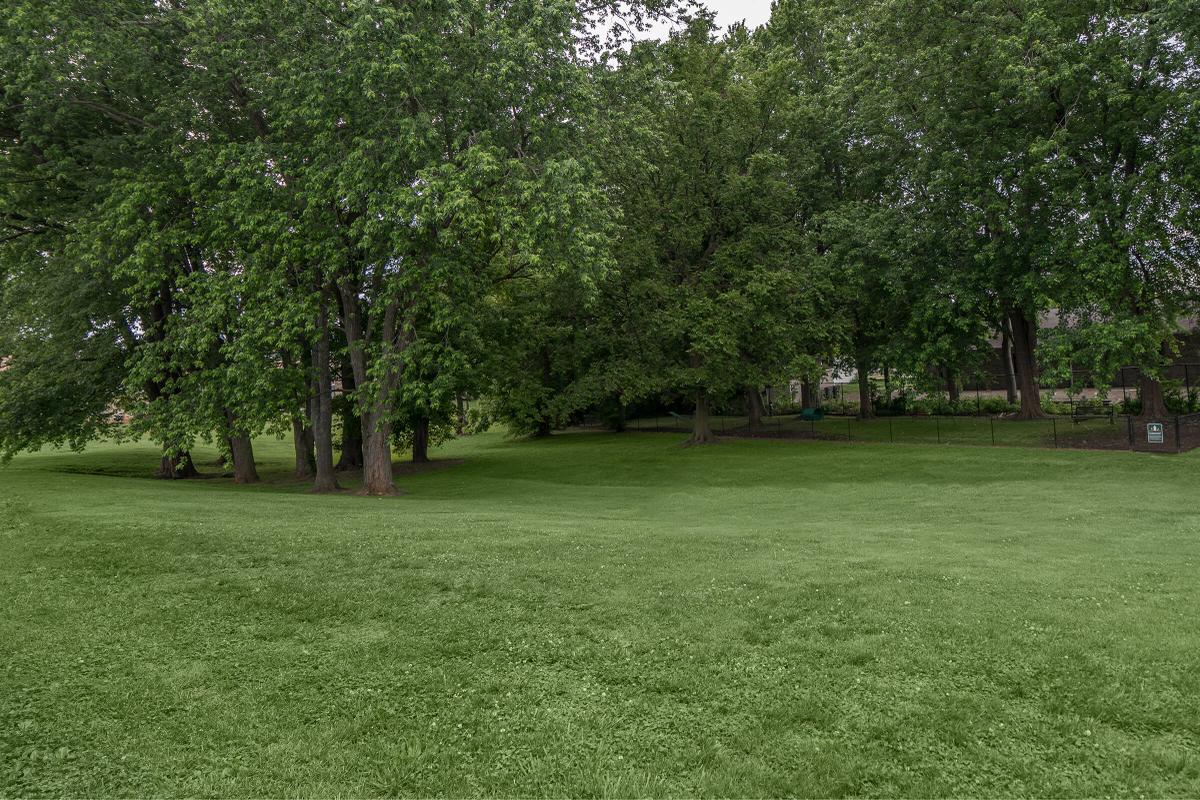 forest-like atmosphere at Eagles Crest at Wallace in Clarksville, Tennessee