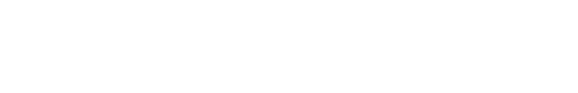 The Point ebrochure logo