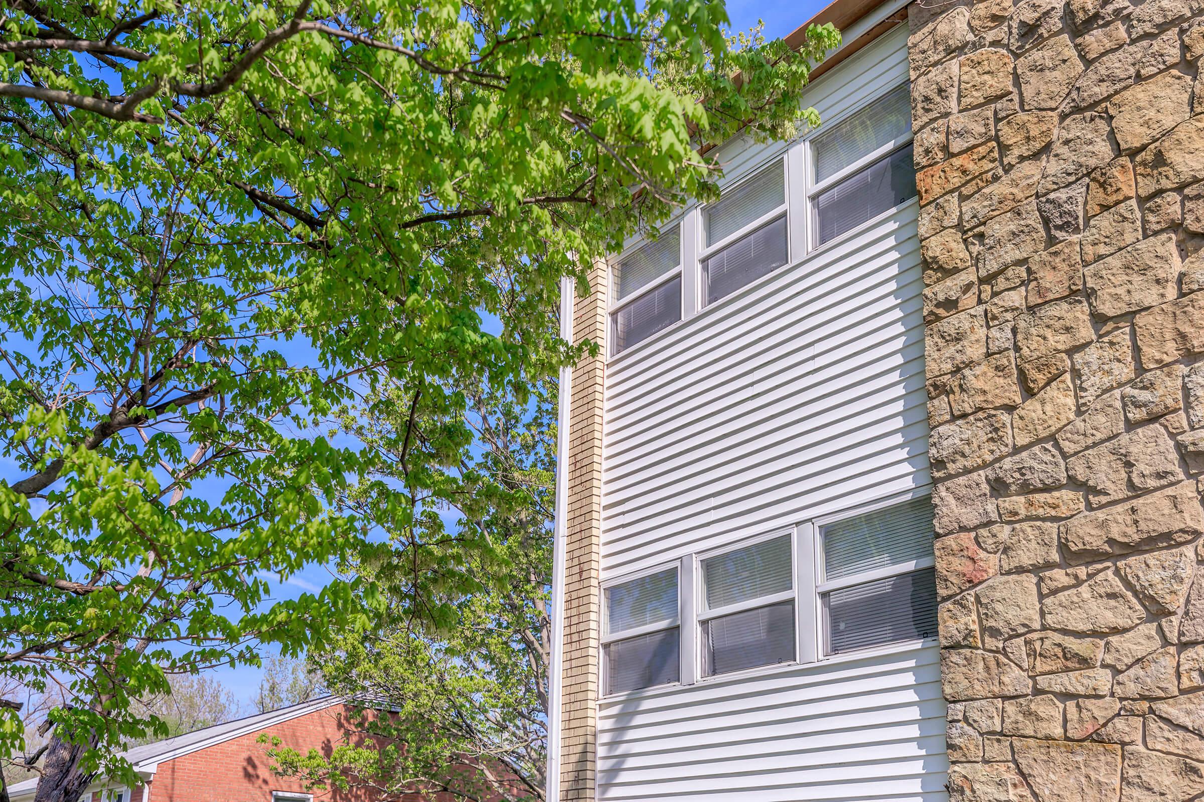 a tree in front of a brick building